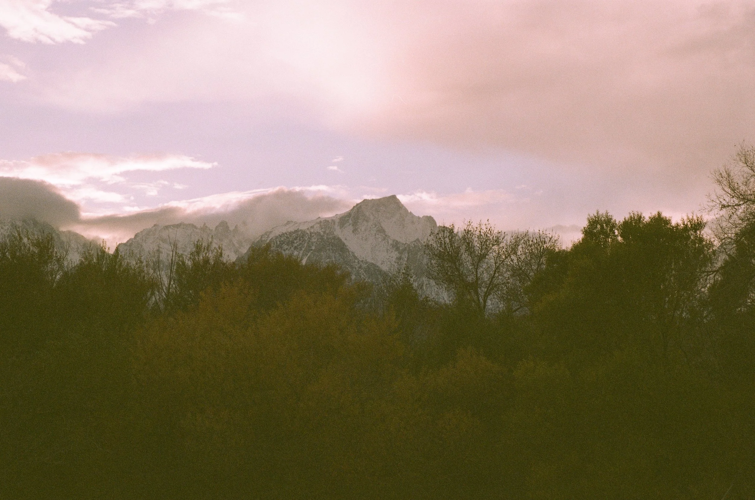 Snow-capped mountain peaks above a silhouette of trees during sunset or sunrise with a pinkish-purple sky.