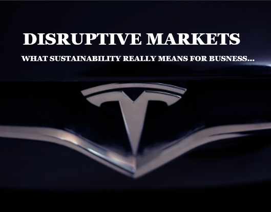 Disruptive markets - what sustainability really means for business. By Paul Gilding