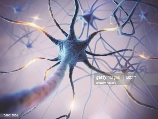 Photo by anusorn nakdee/iStock / Getty Images