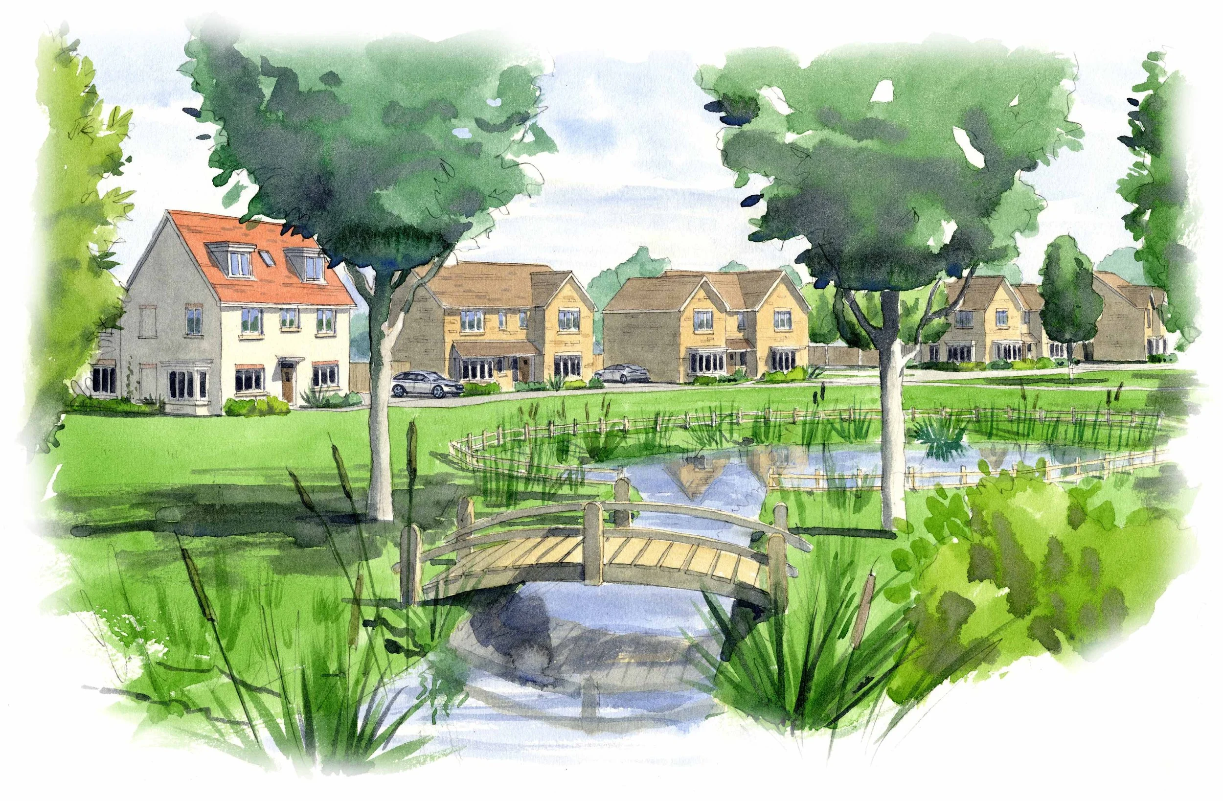 MLA Freehand Watercolour 4.jpg