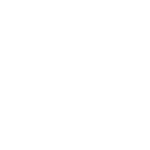 Black Star Film Festival Logo.png