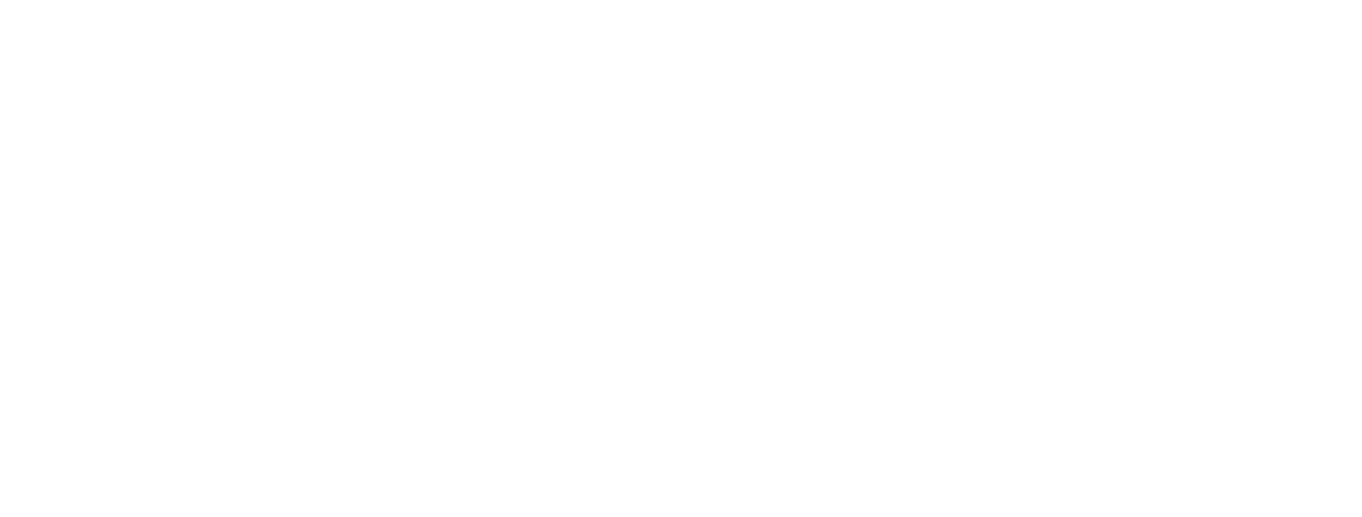 BeNeLux Catalyst |  Collaboration. Internationalization. Growth.
