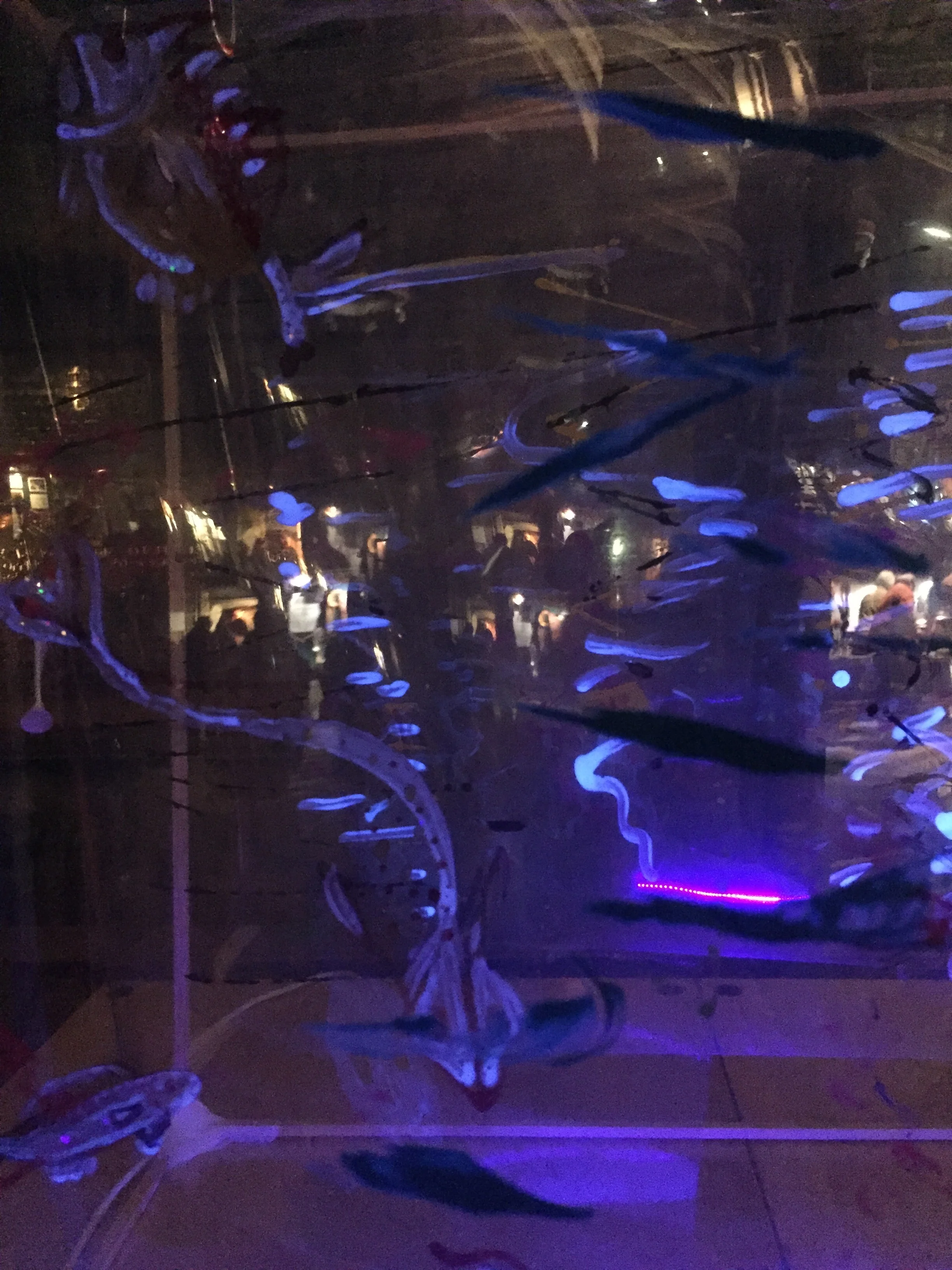 LIGHT NIGHT 2019