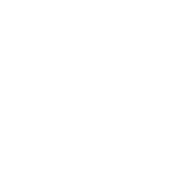 Center plesa