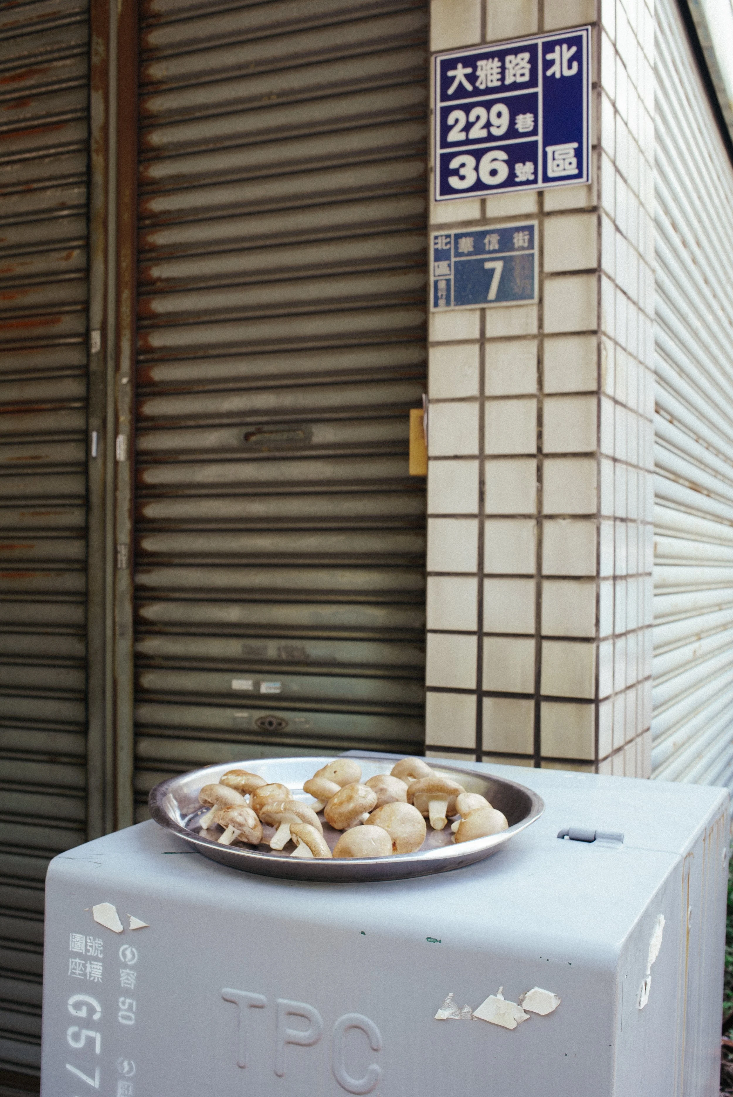 UV drying mushrooms