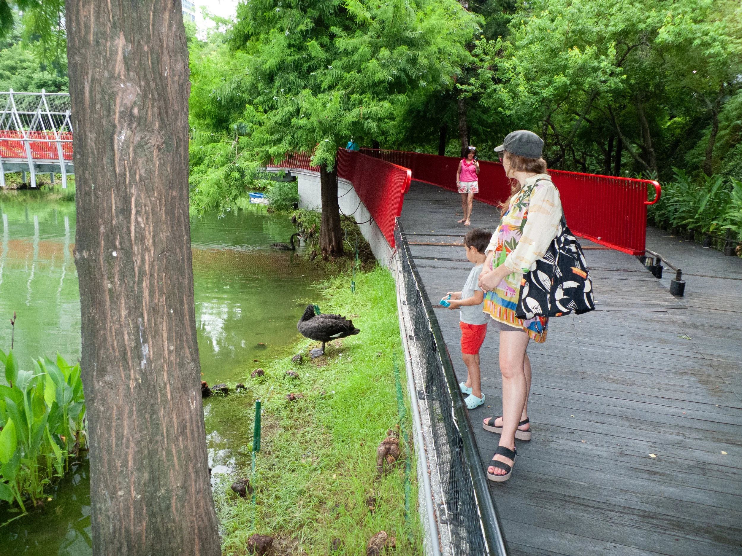 台中大道旁的公園