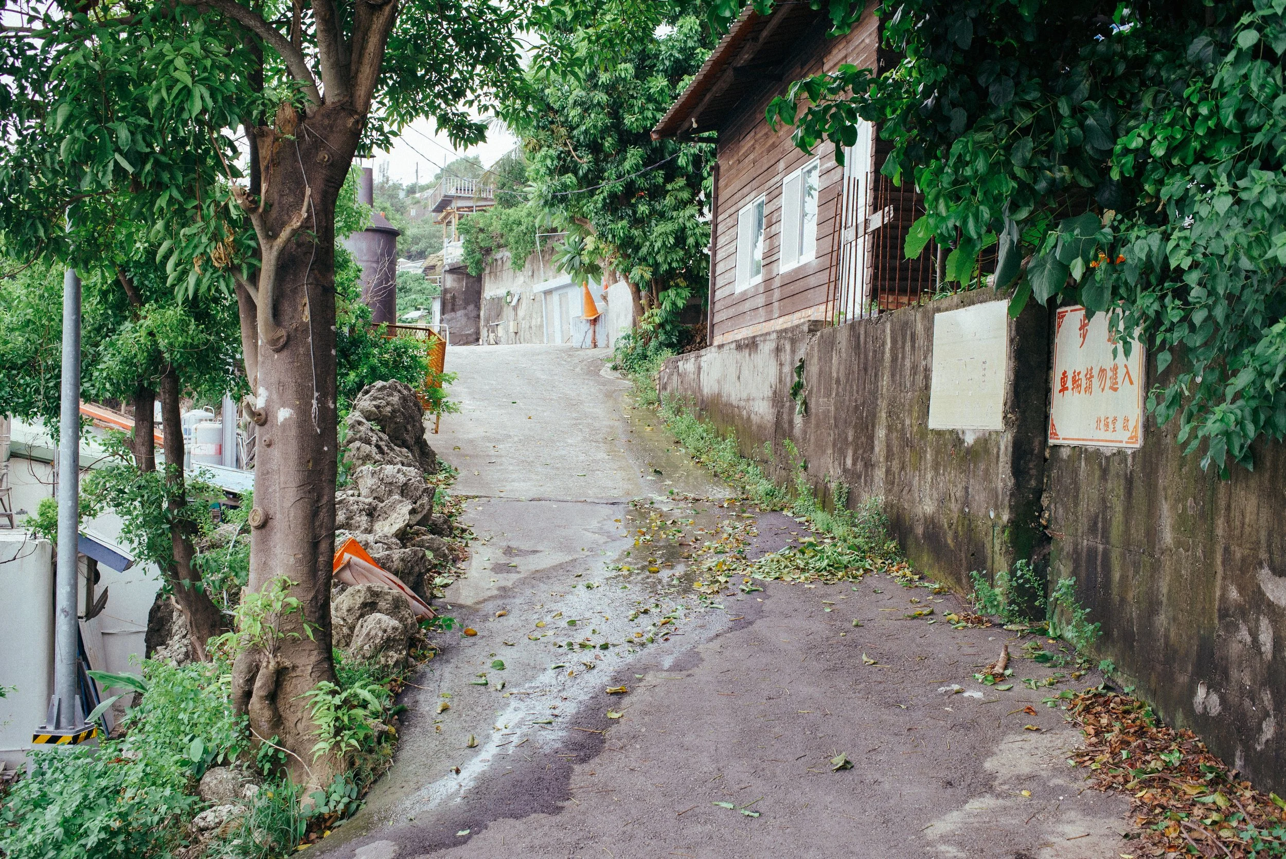 壽山街景