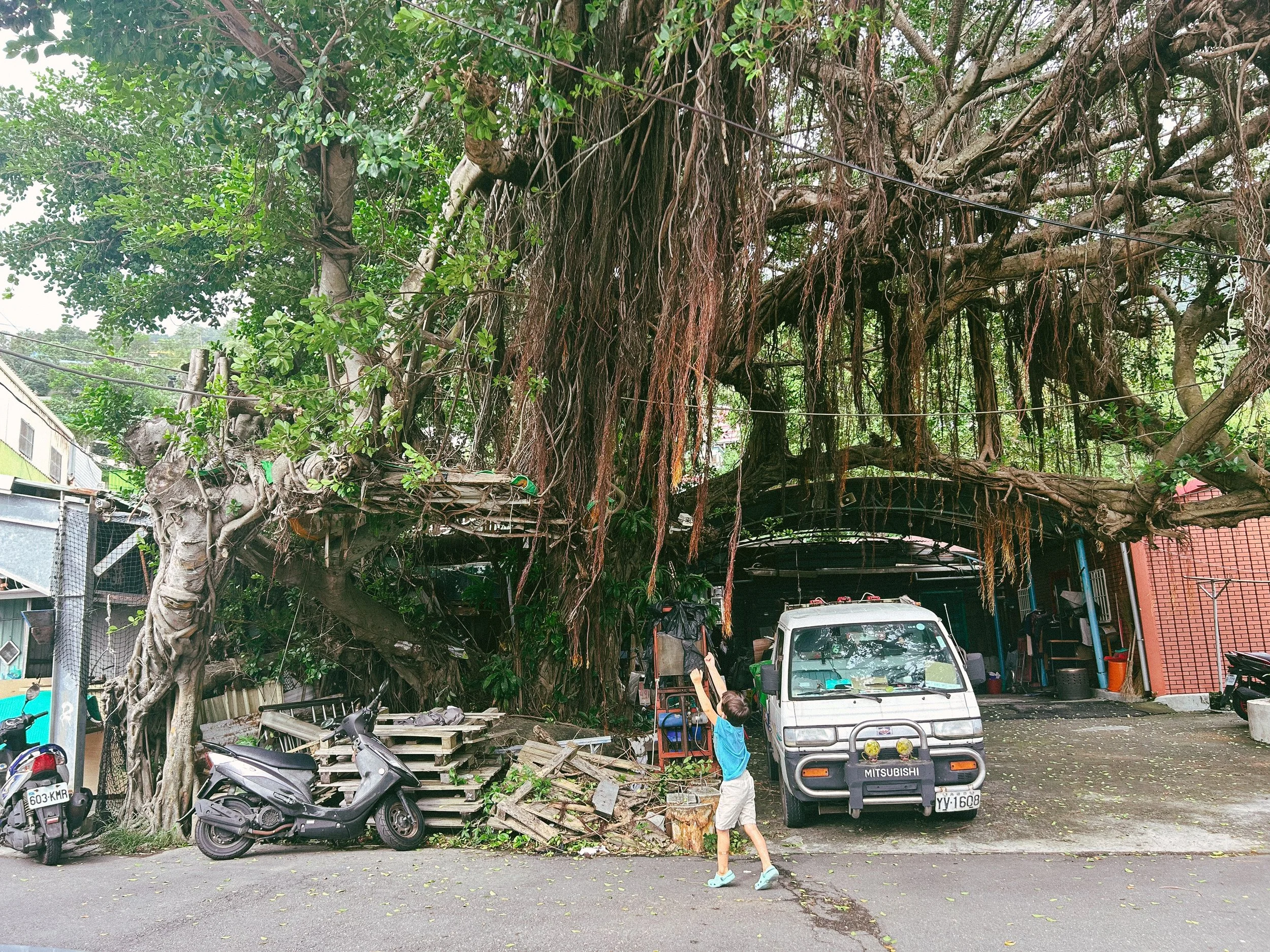 壽山街景