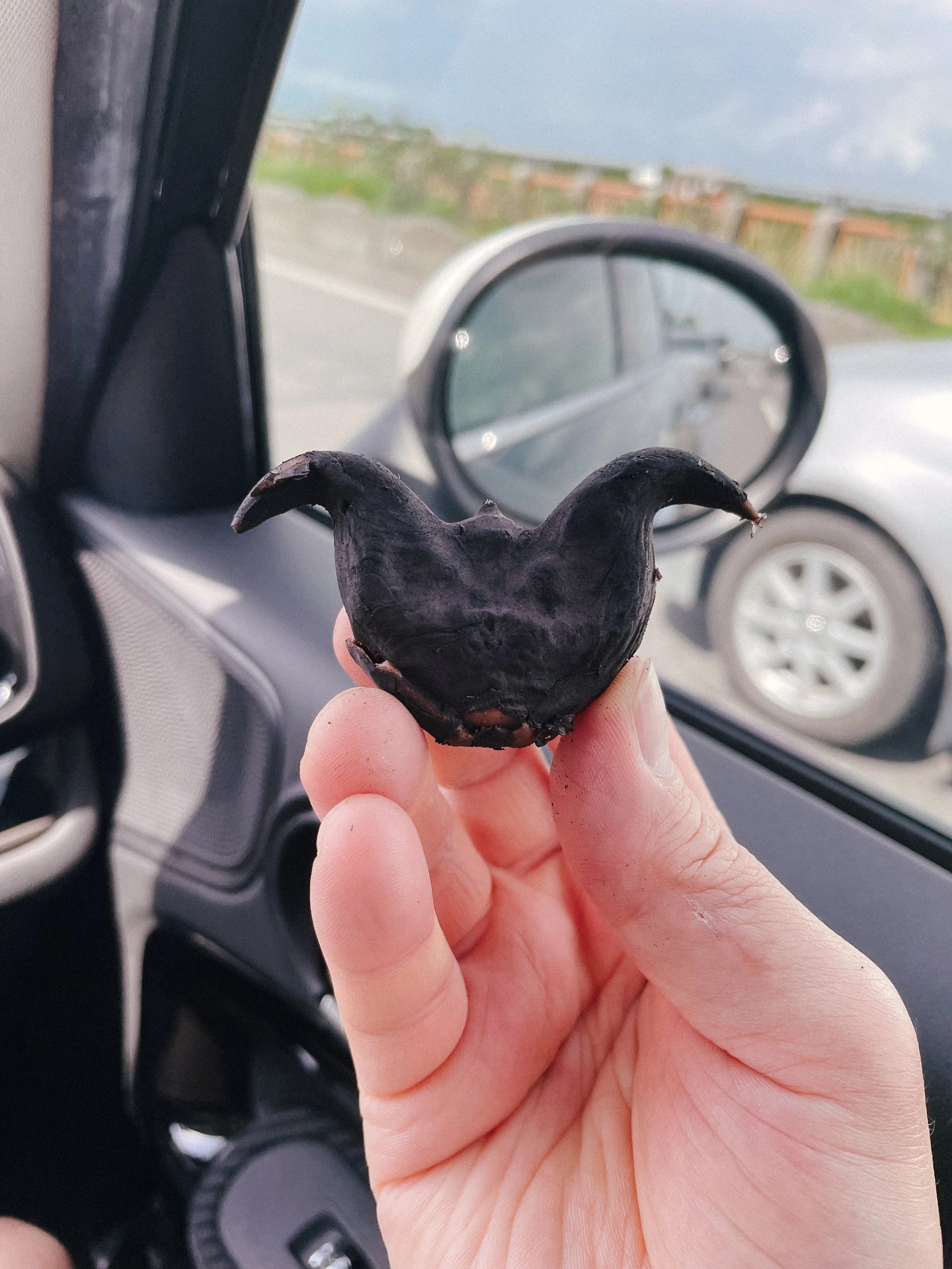 在屏東的路旁買了包苓角