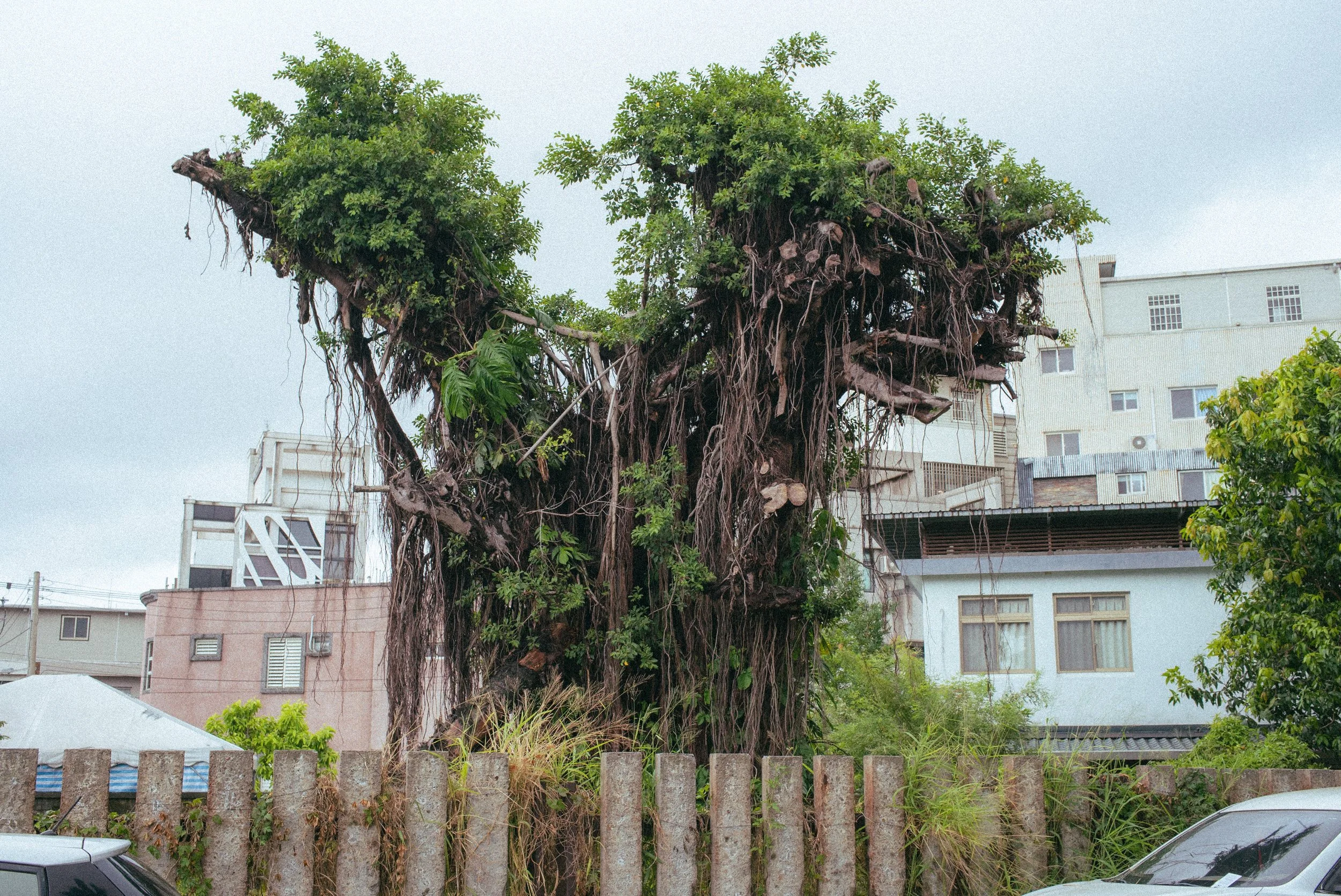 花蓮鐵道文化園區