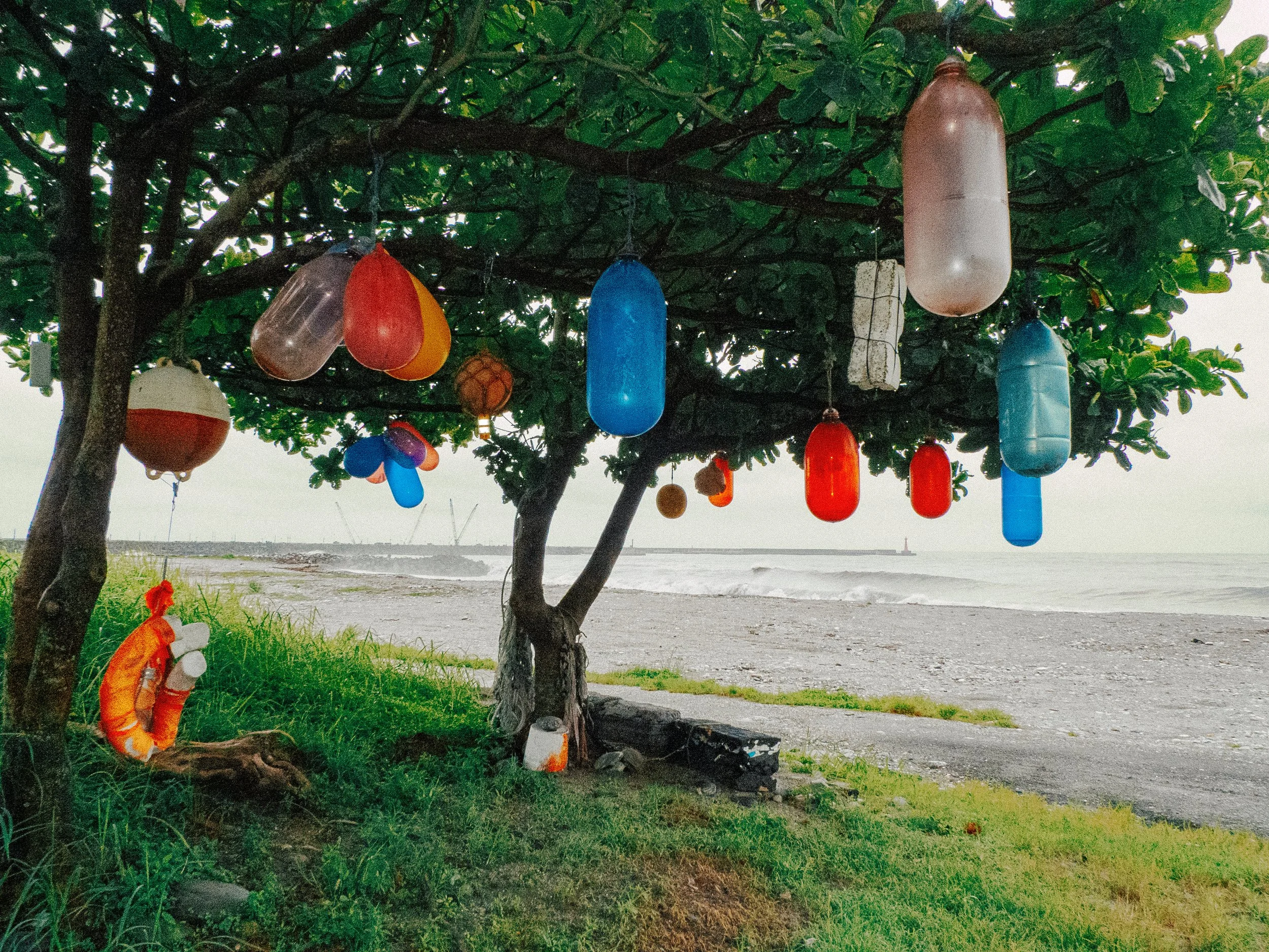 花蓮海岸