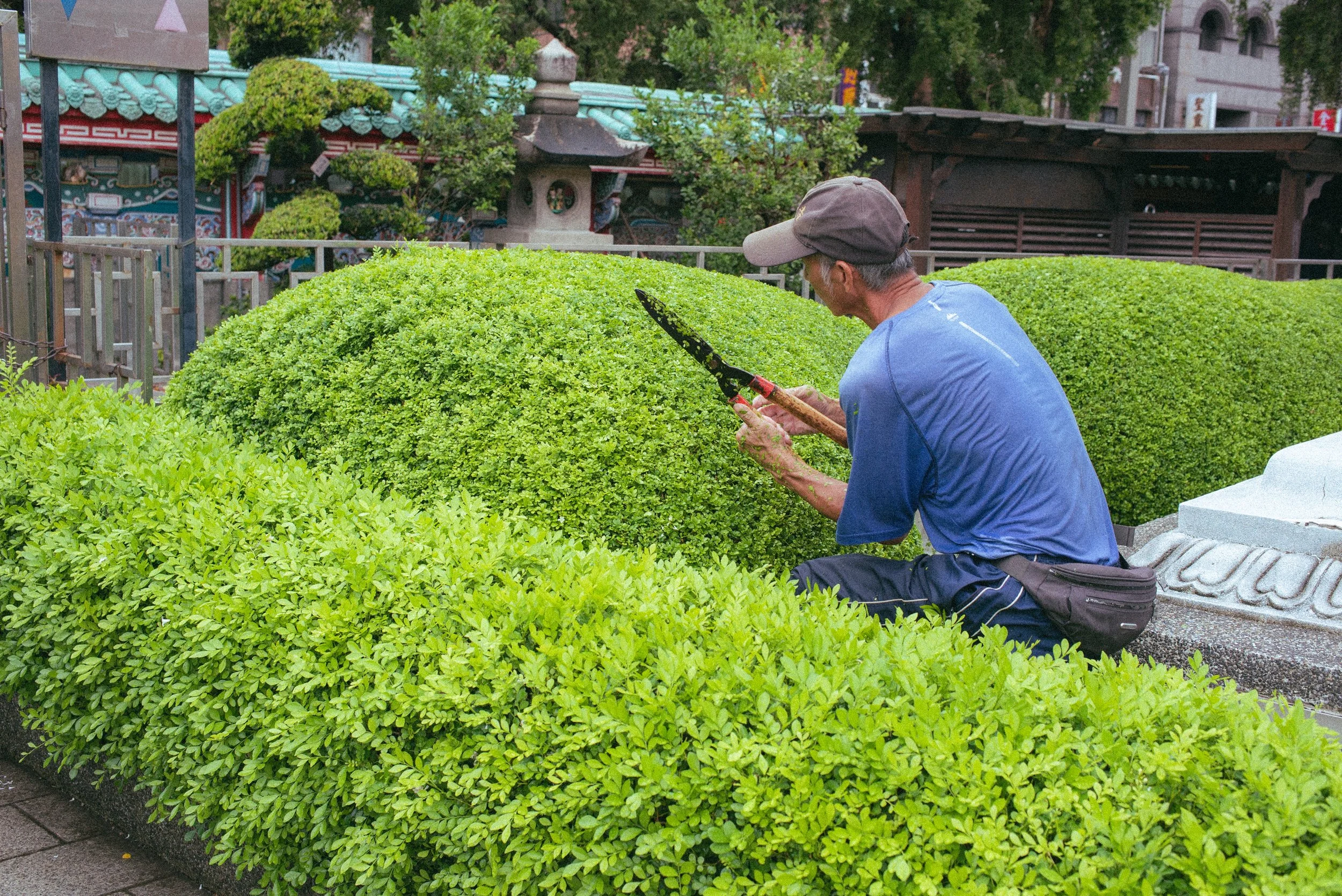 艋舺龍山寺