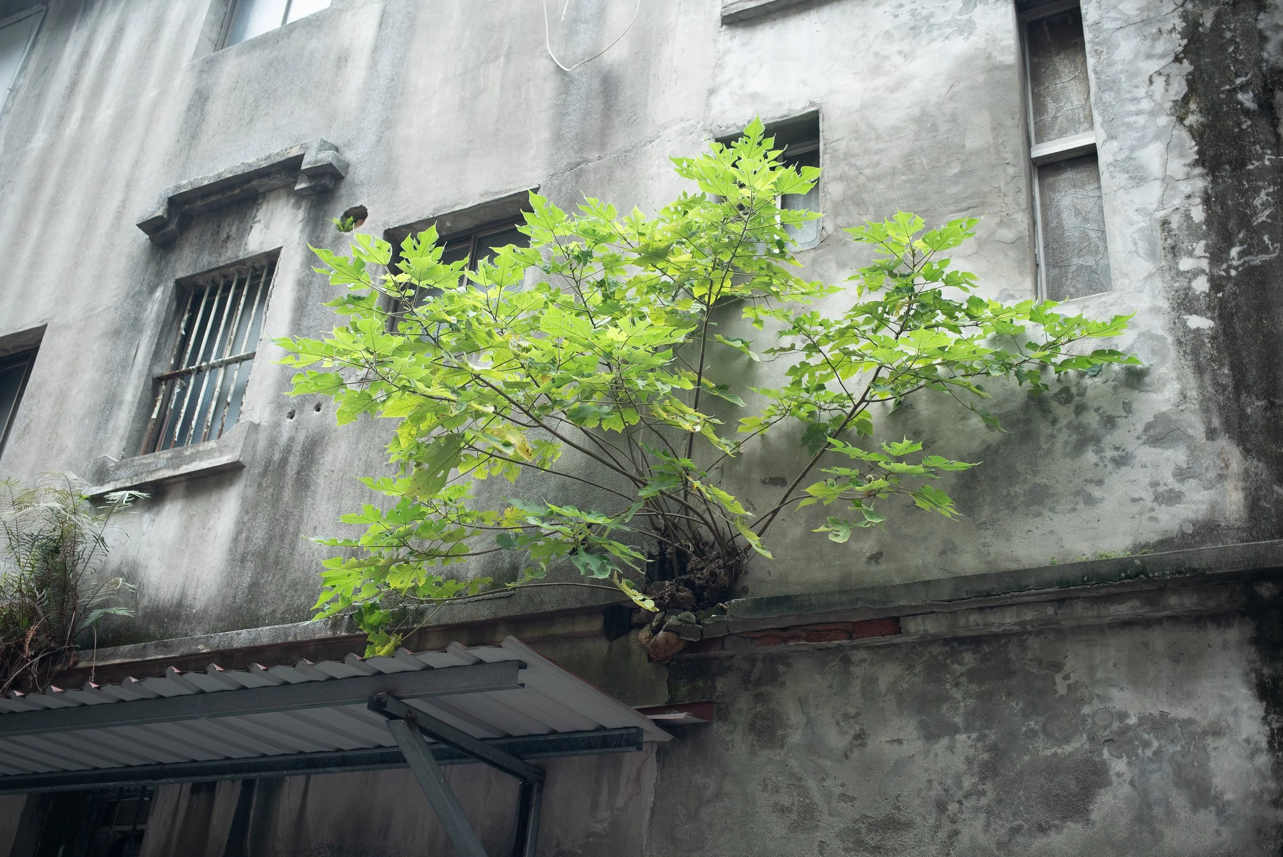 台北街景