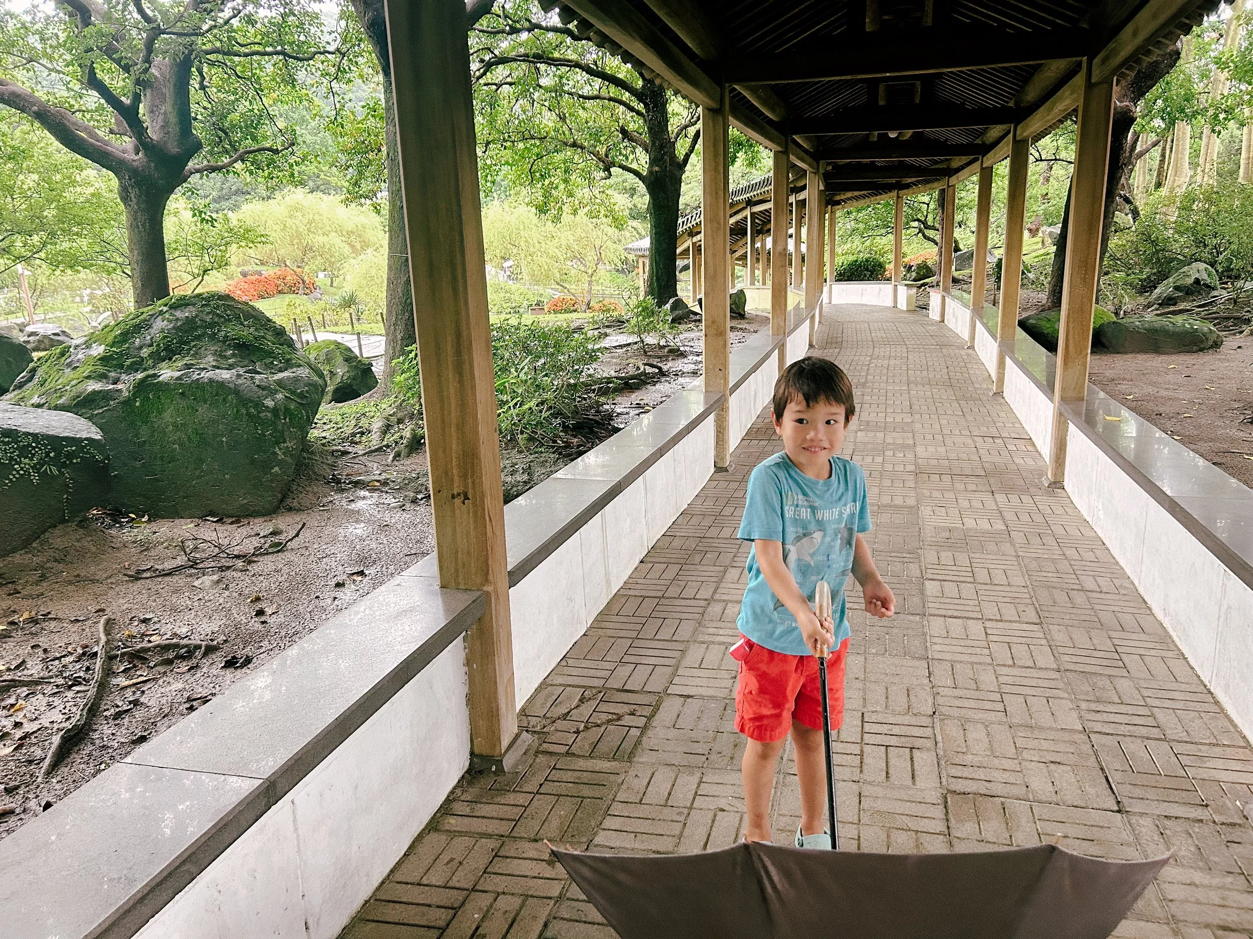 國立故宮博物院
