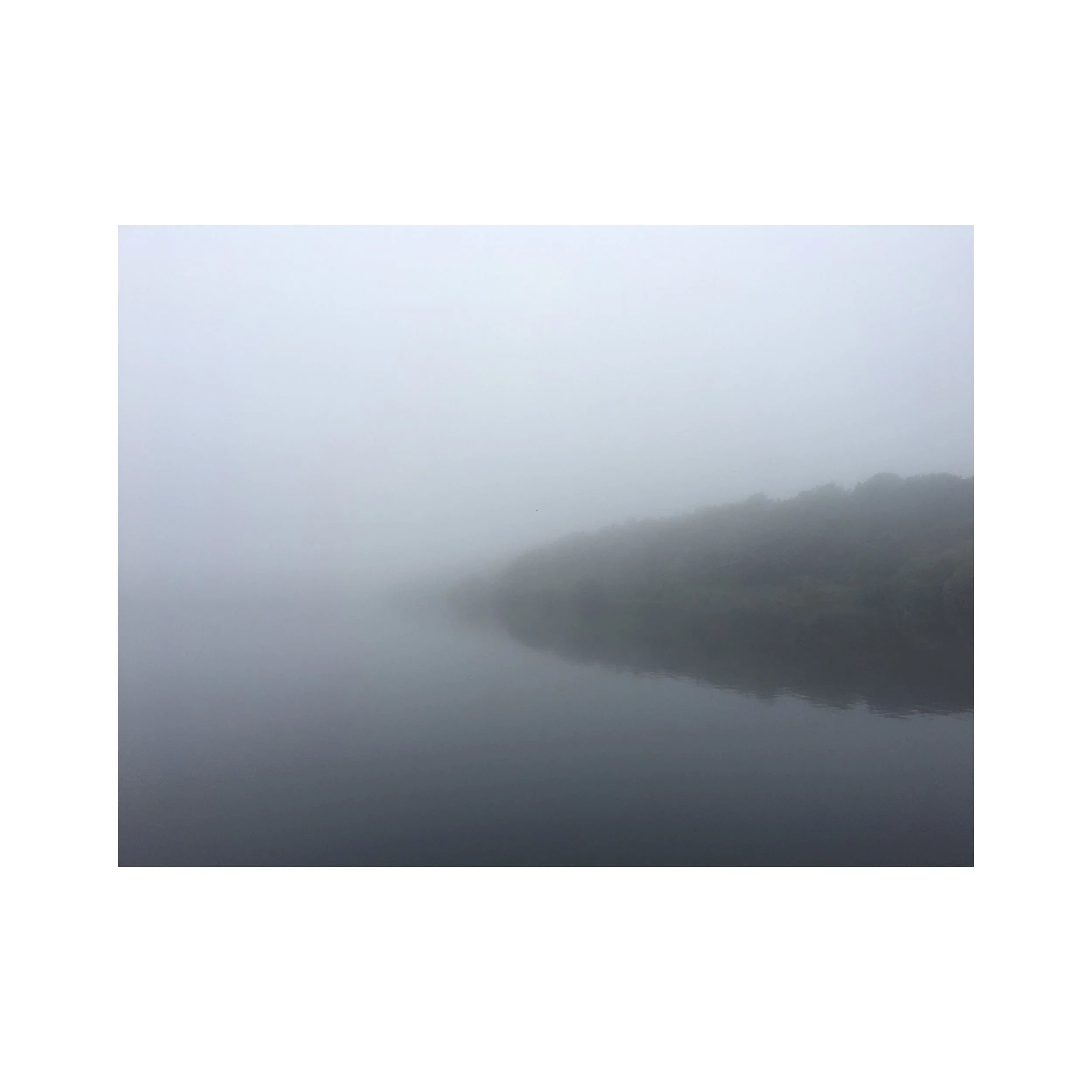 #treestudy005sq.jpg