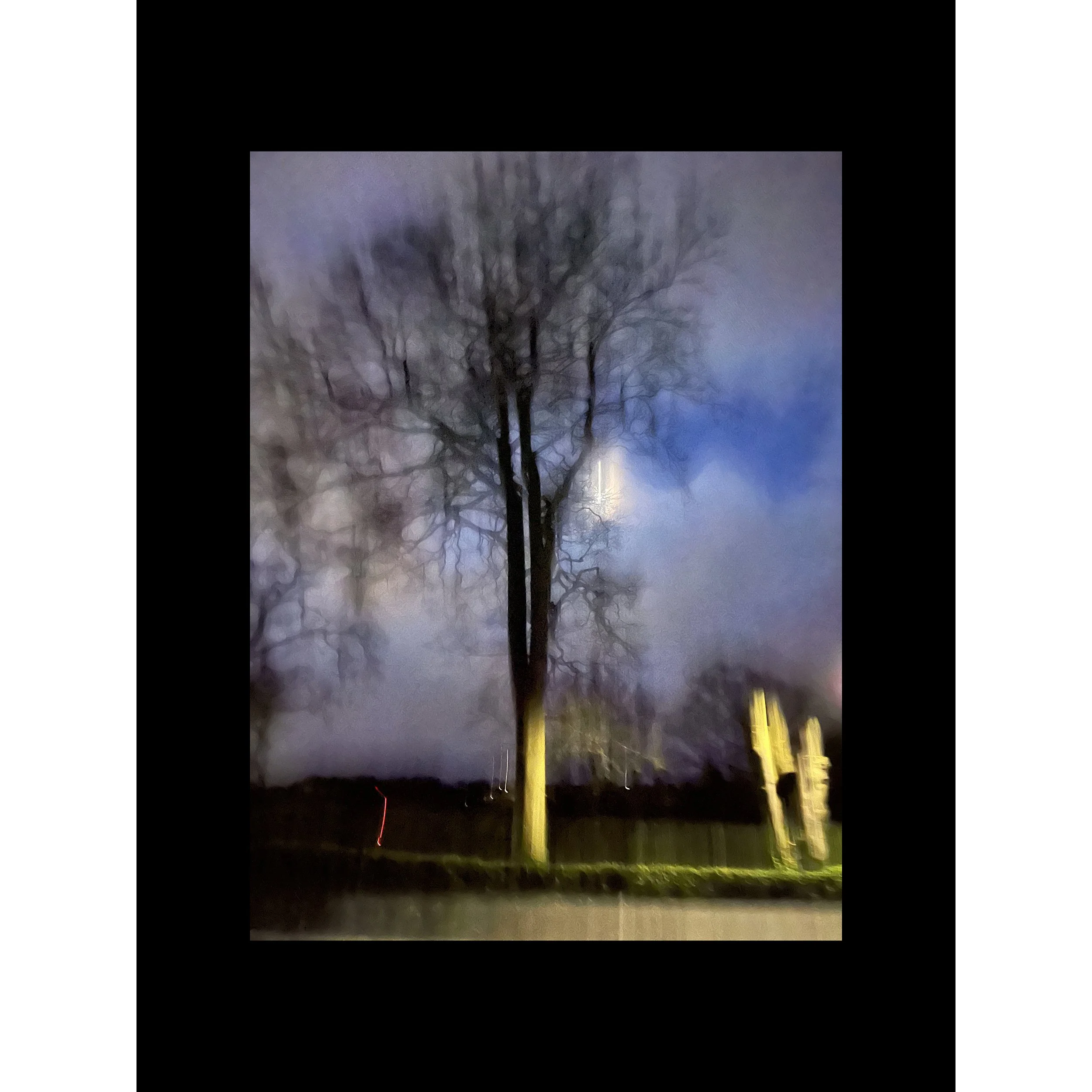 #treestudy003sq.jpg
