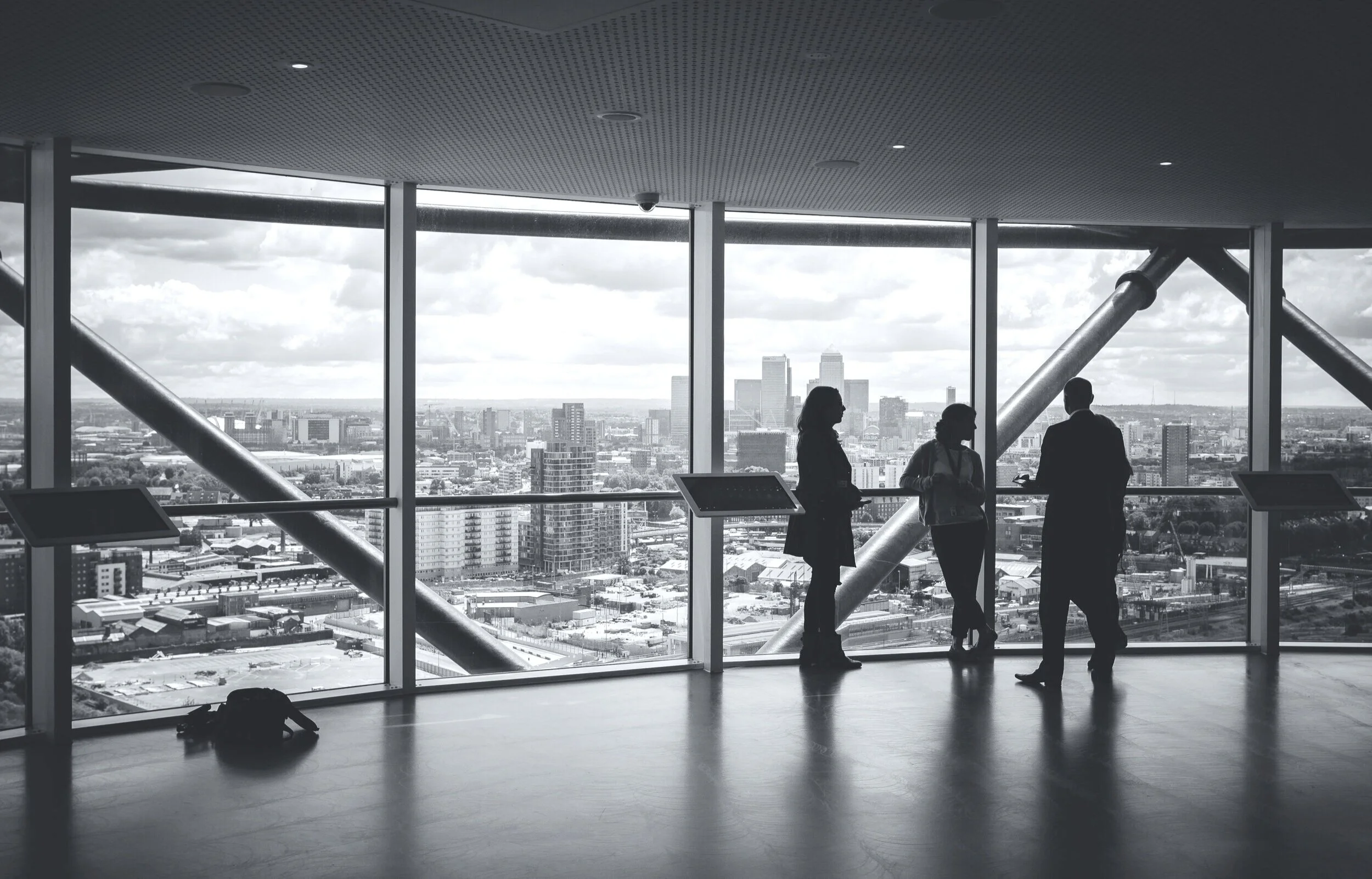 Emerging Executive Roles For The New World