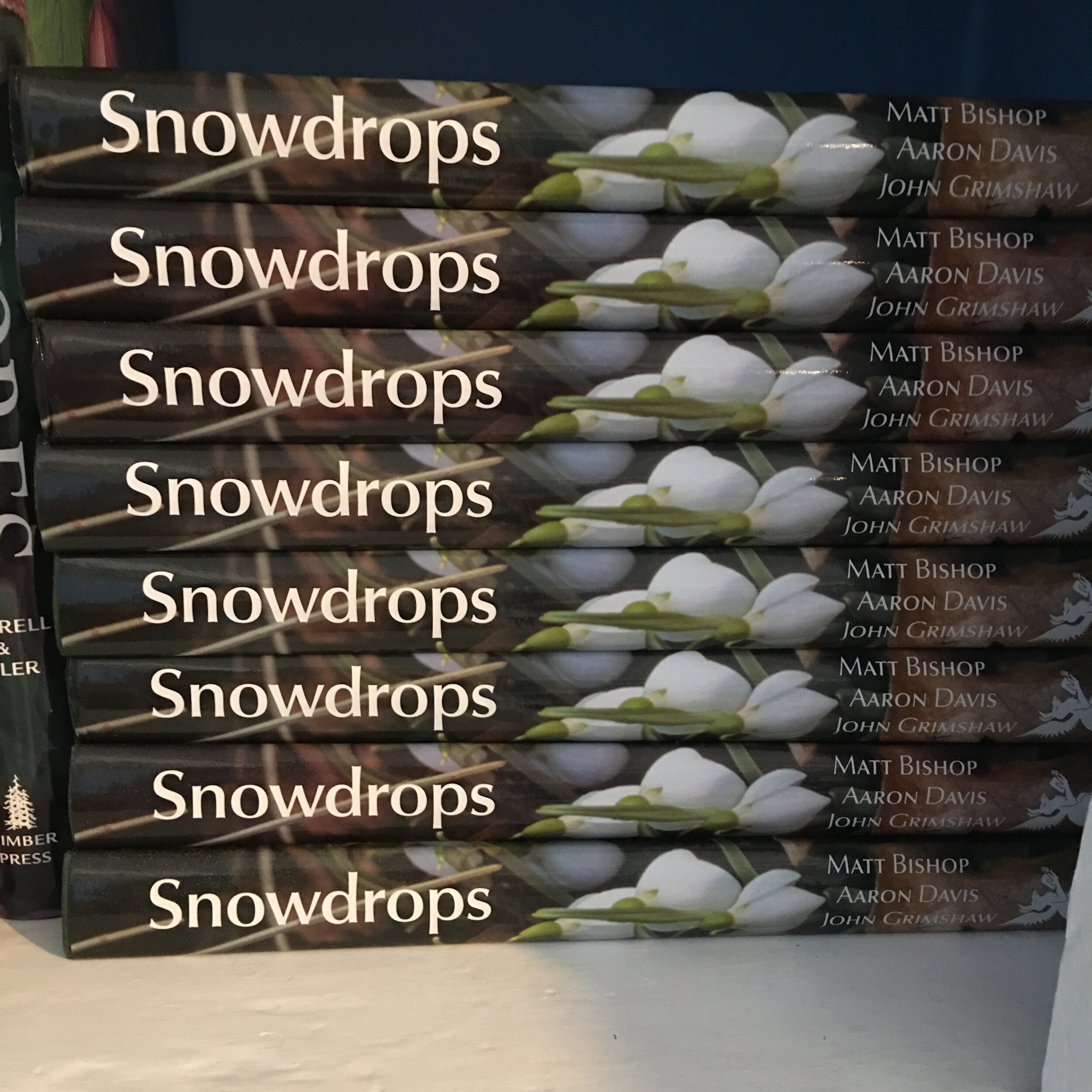 Snowdrops: A Monograph of Cultivated Galanthus (2006 reprint signed by the authors)