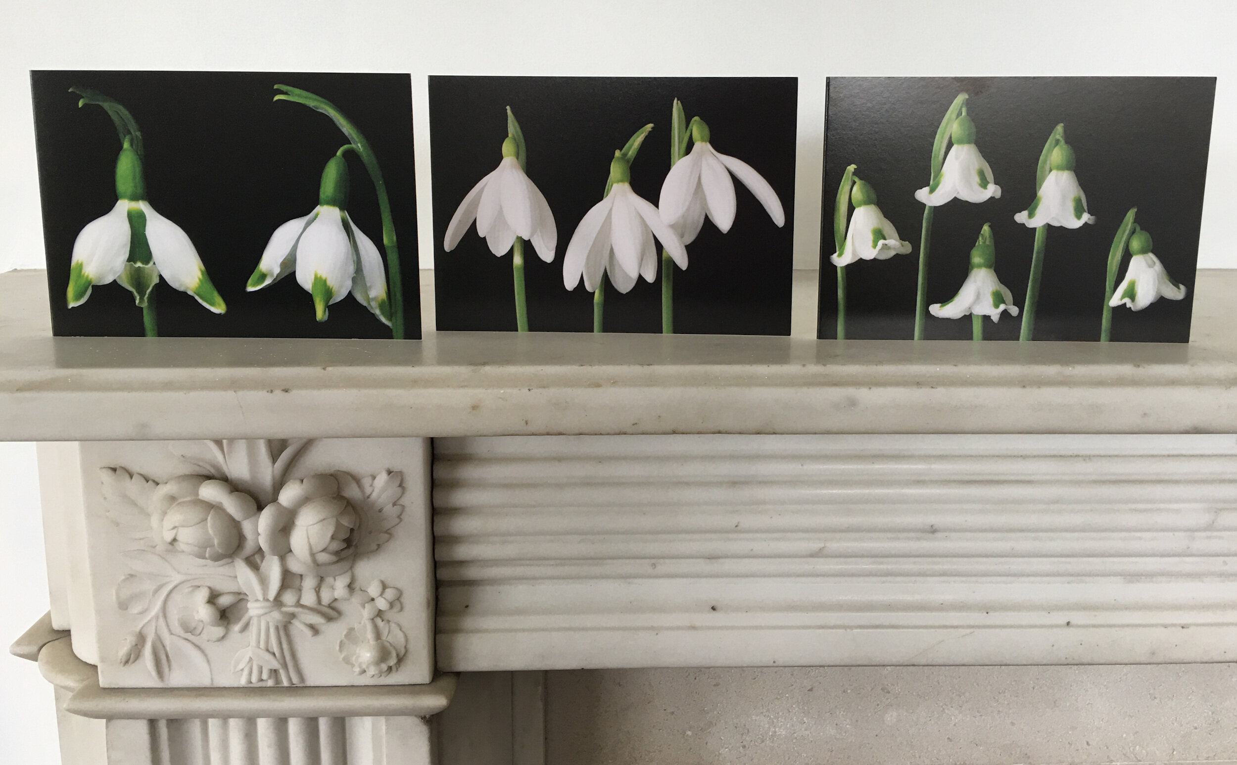 Snowdrop Cards - Set 3