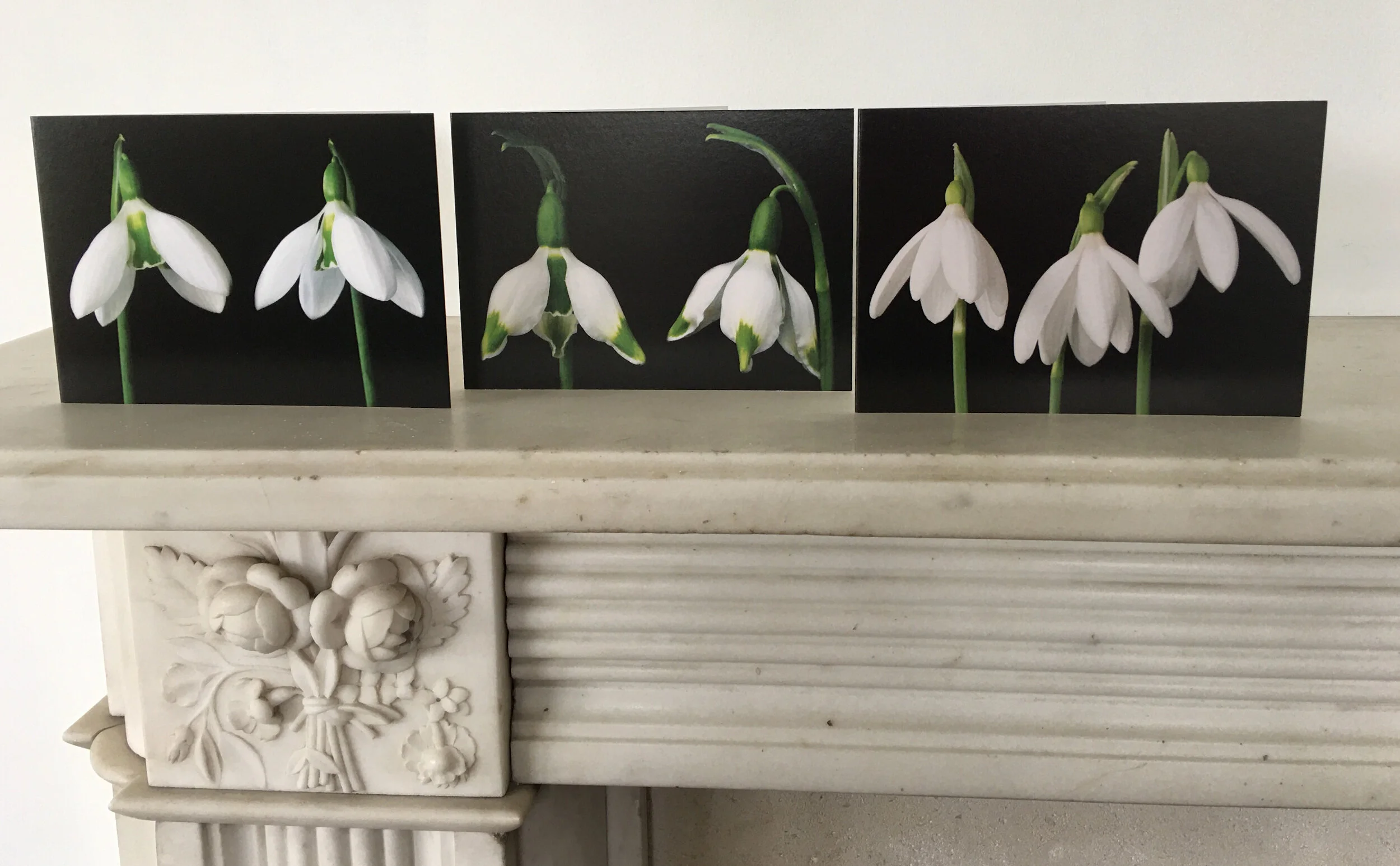 Snowdrop Cards - Sets 1 and 2