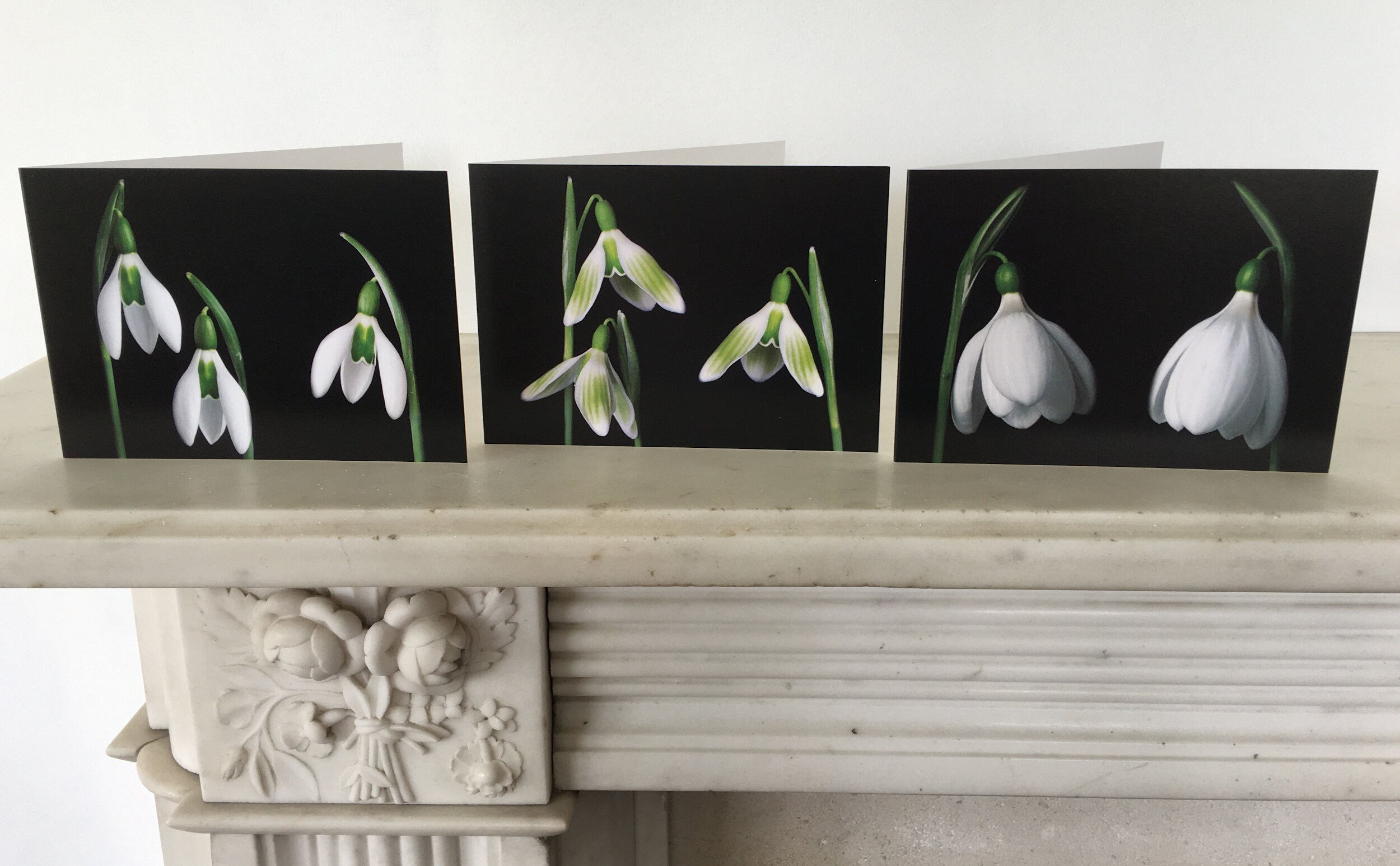 Snowdrop Cards - Sets 2 and 3