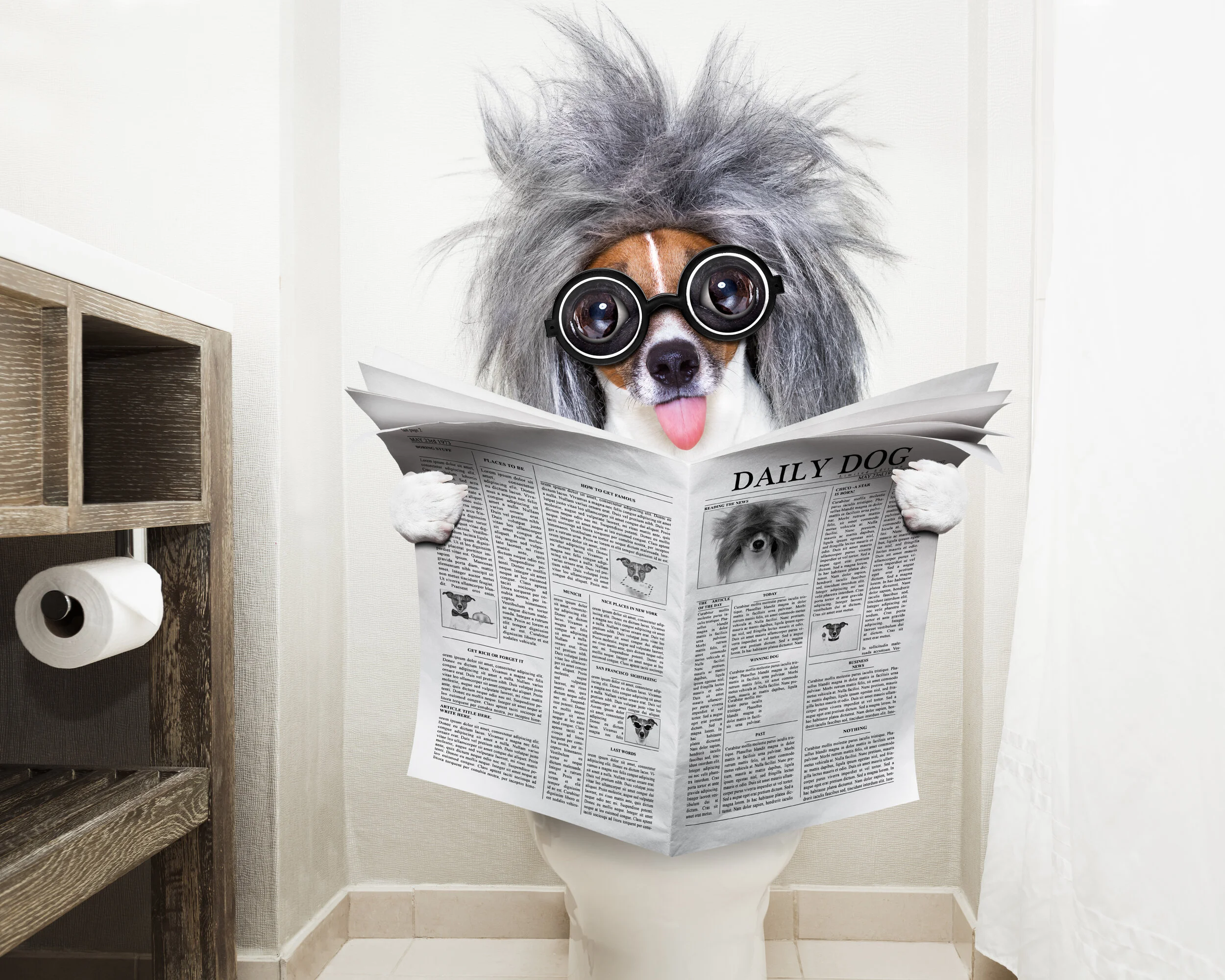 Are the Headlines Making You Lose Your Noodle?