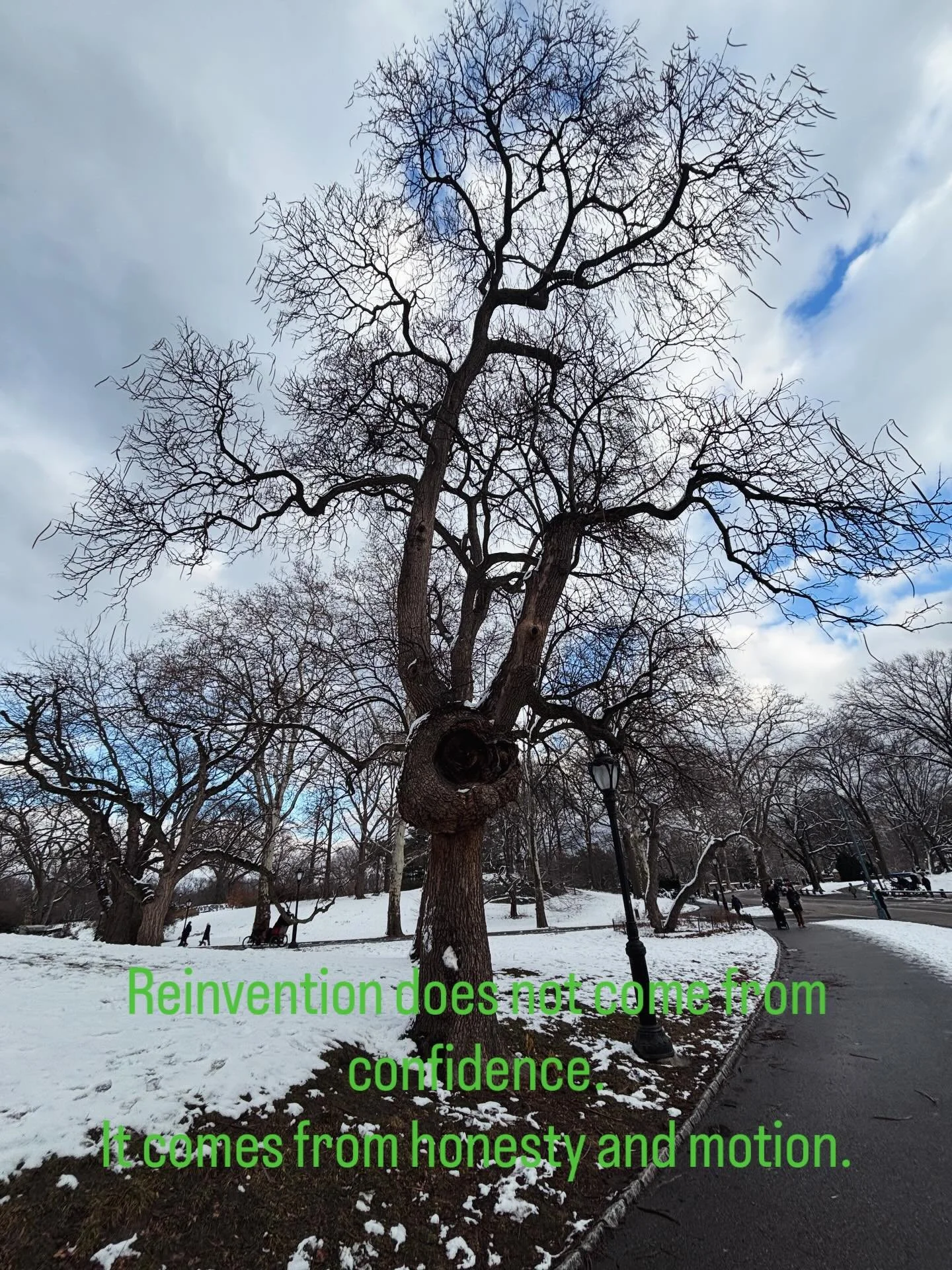 Reinvention does not come from confidence. It comes from honesty and motion.