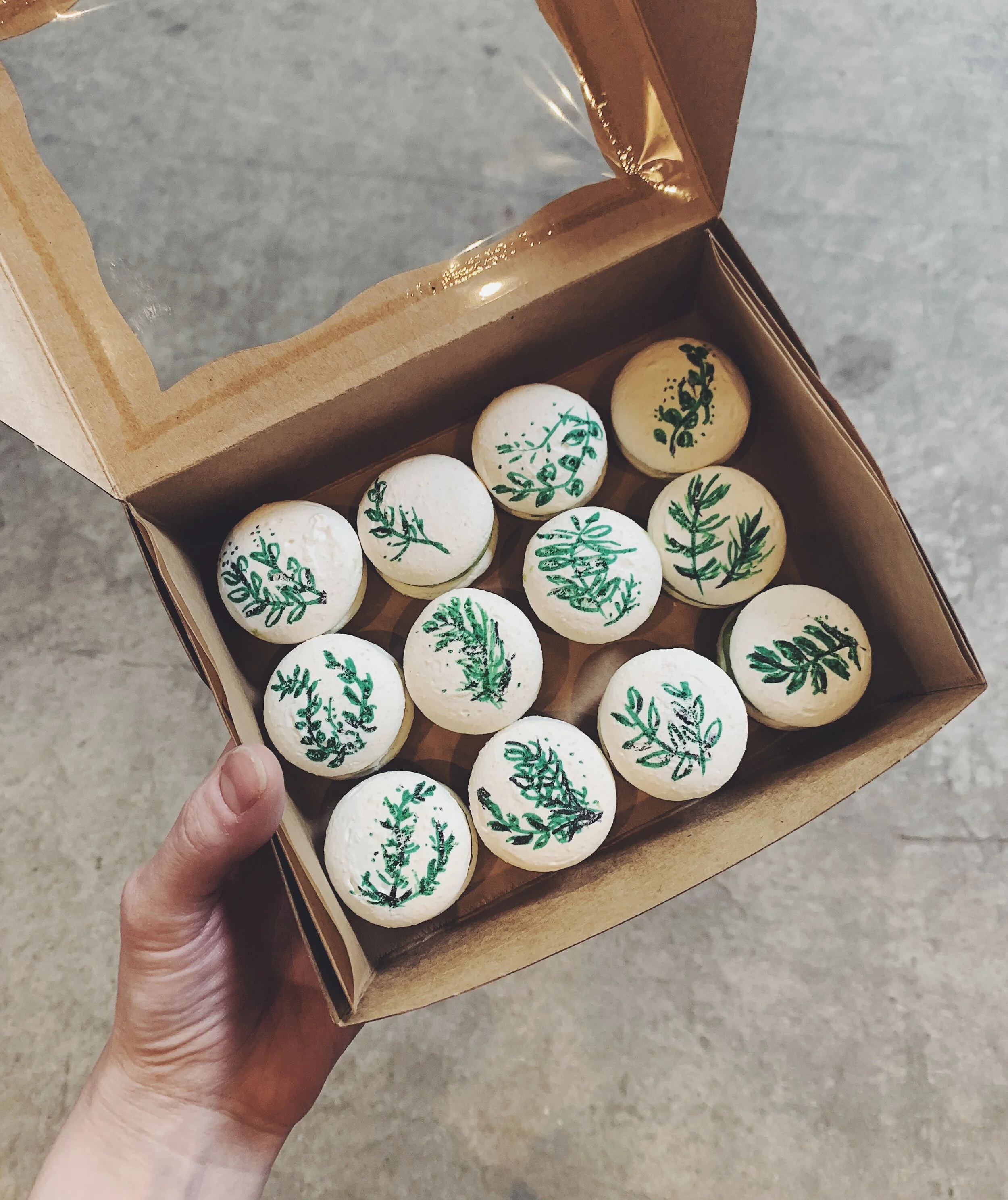 A hand holding a cardboard box with twelve white bath bombs decorated with green leafy designs.