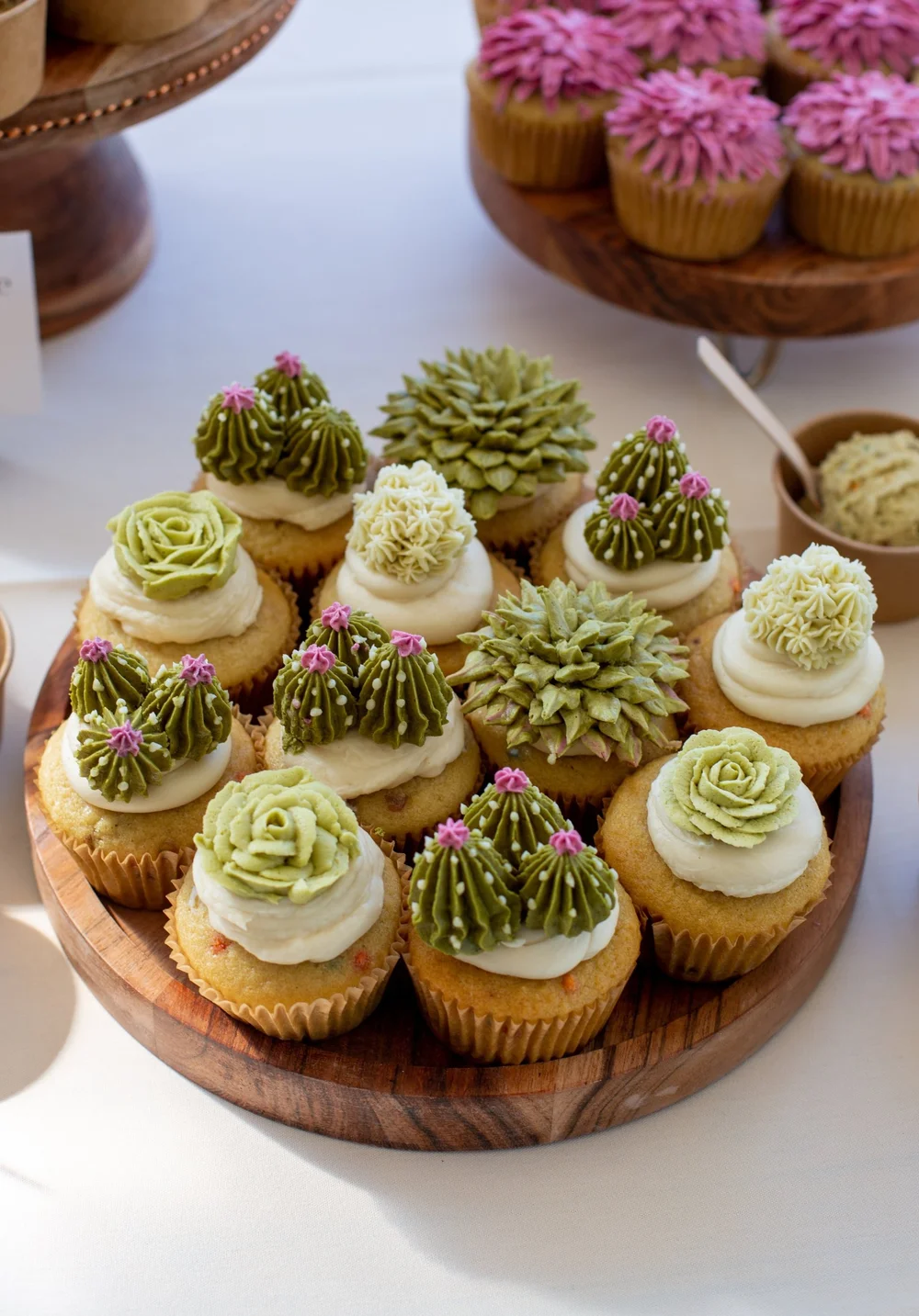 Succulent Cupcakes  Celebrated