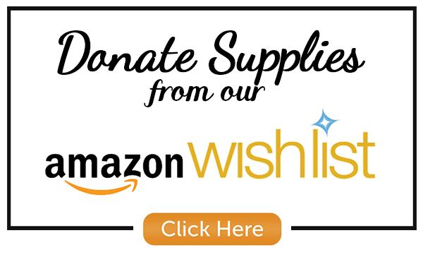 DonateSuppliesAmazonWishListButton-2.png