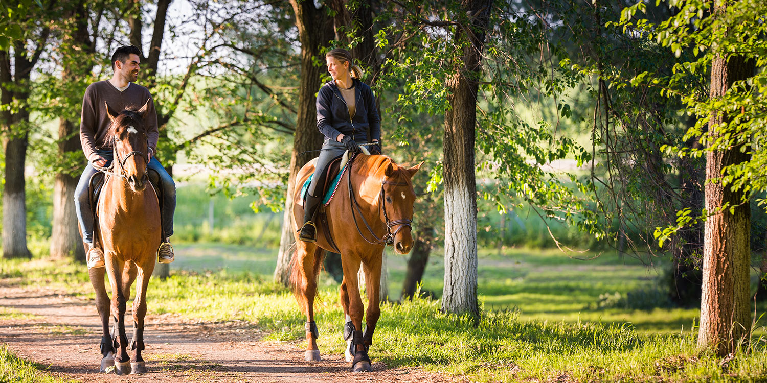 horseback-riding-banner.jpg