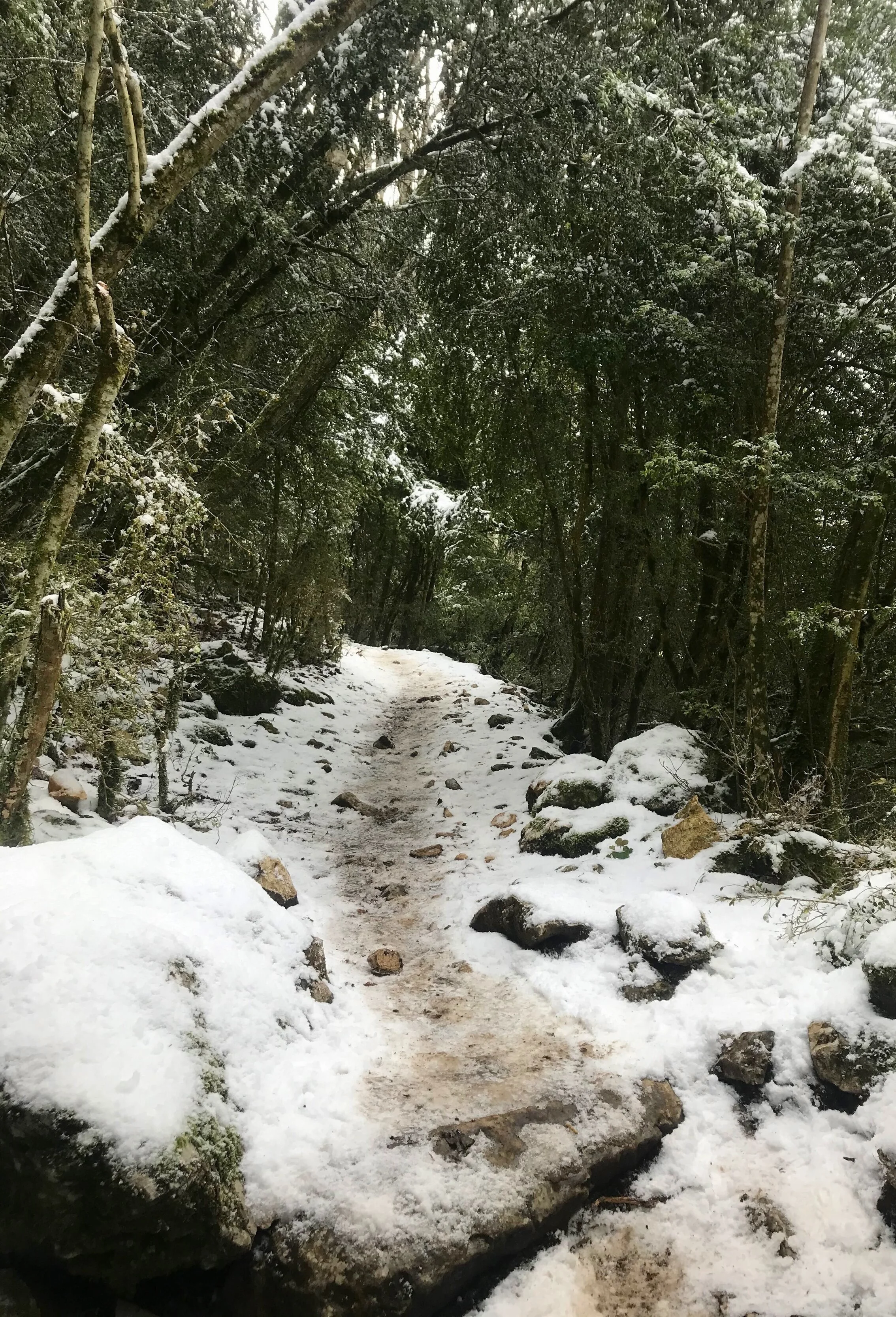 The Guardian - 'We've fallen off the radar': outdoor centres in crisis over lack of Covid help