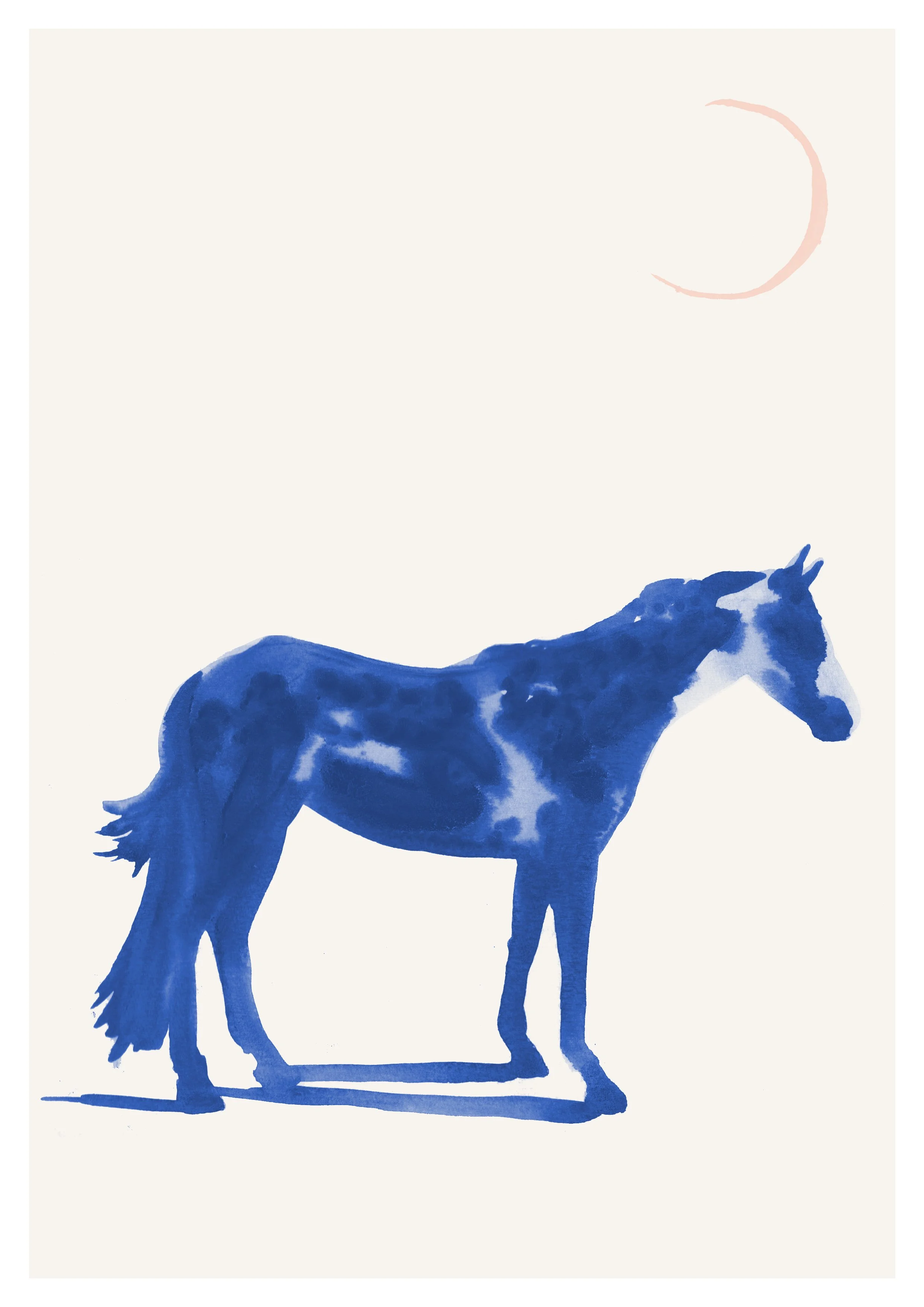 joannalayla_horse_1 copy.jpg