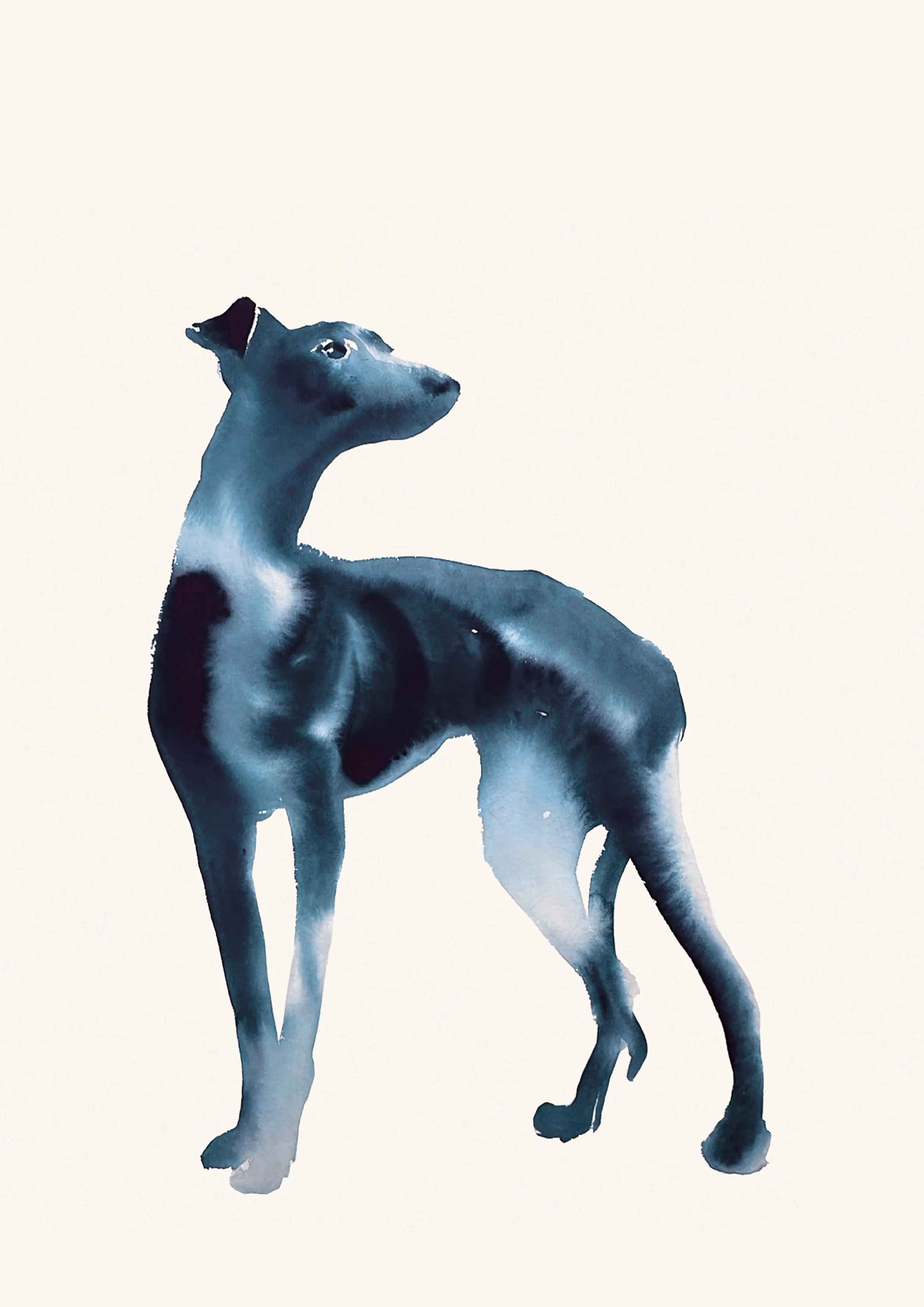 joannalayla_chase_print copy.jpg