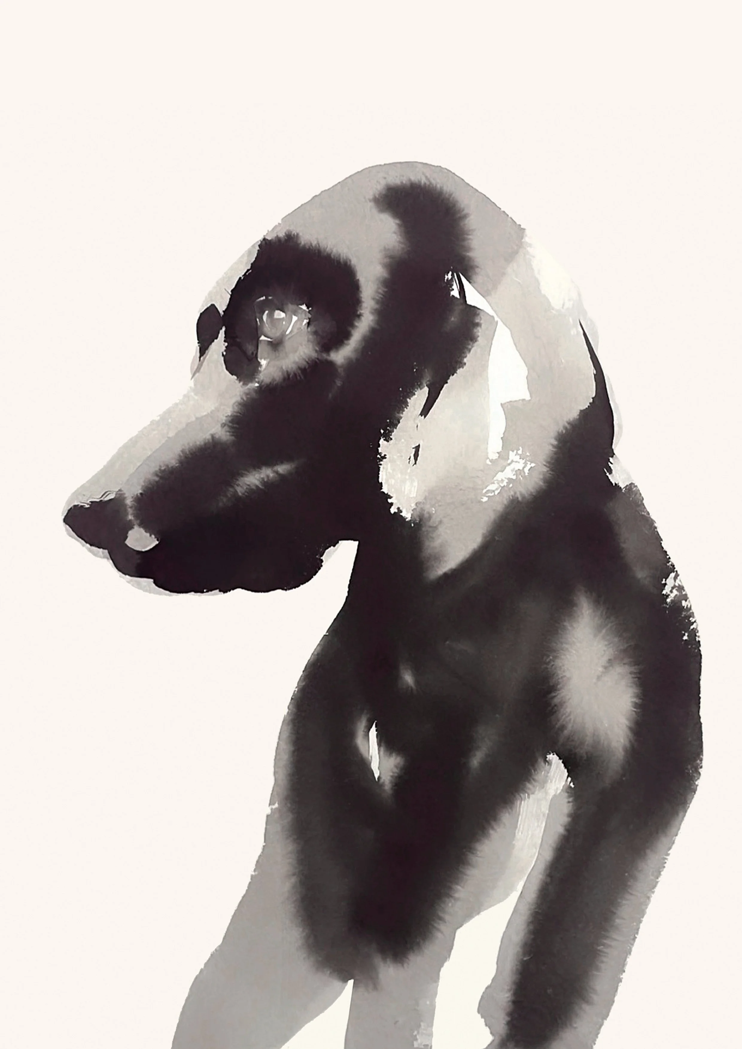 joannalayla_suma_print copy.jpg