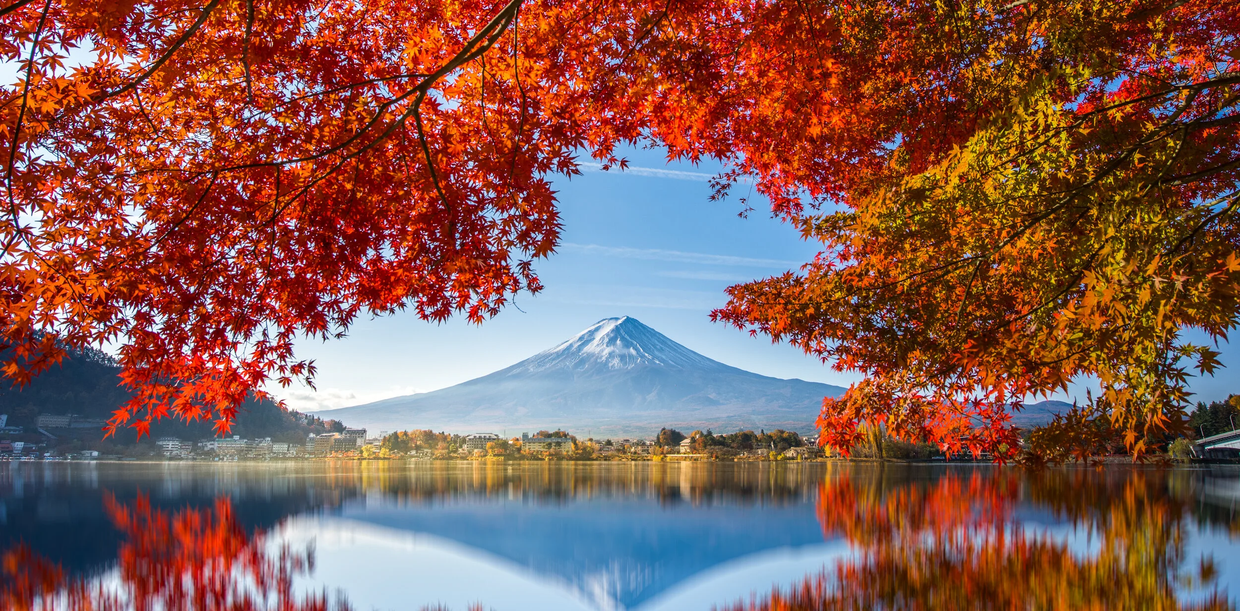 shutterstock_1321286423.jpg