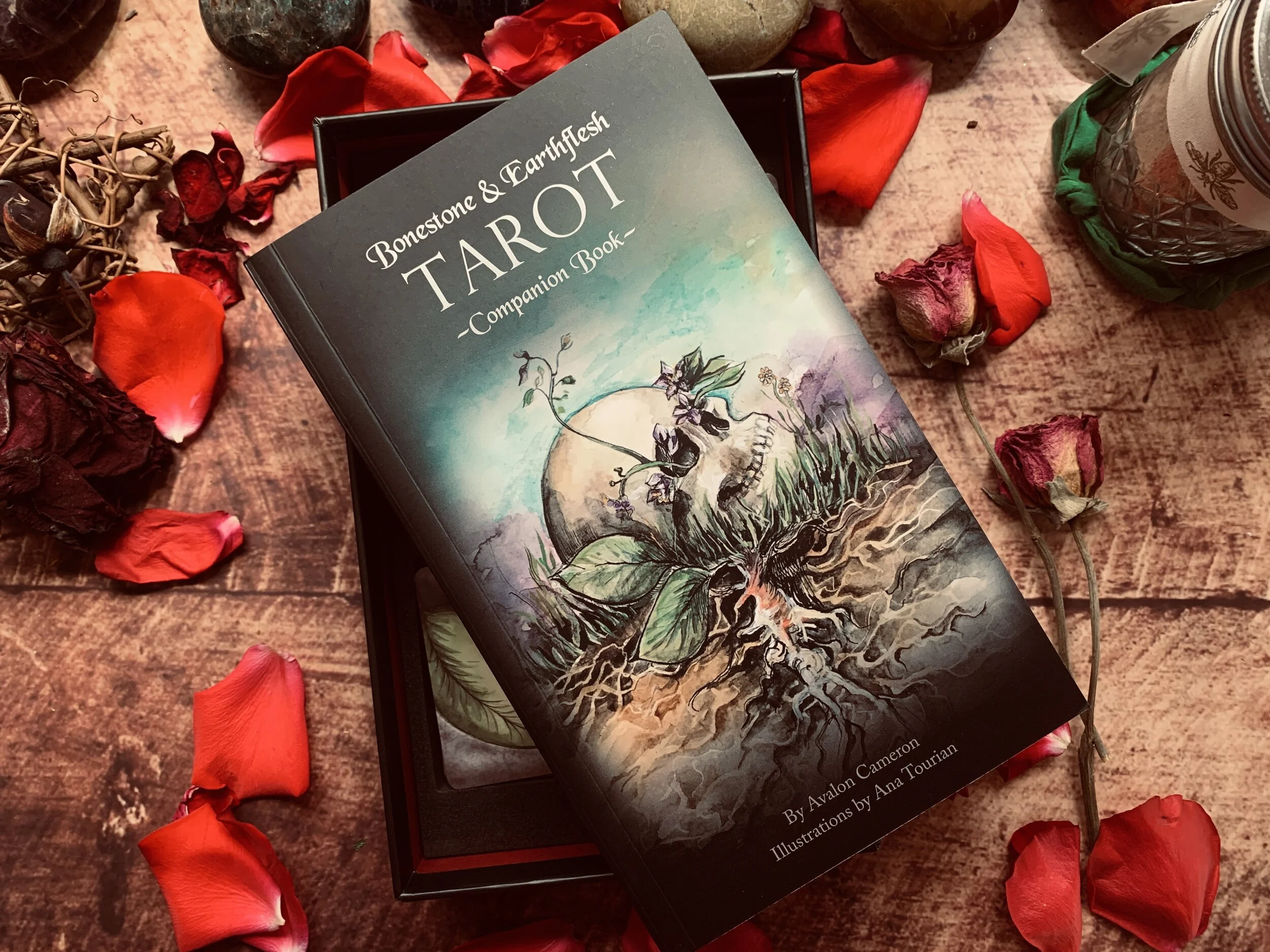 Sneak Peek: Ana Tourian Tarot plug - The Queen's Sword