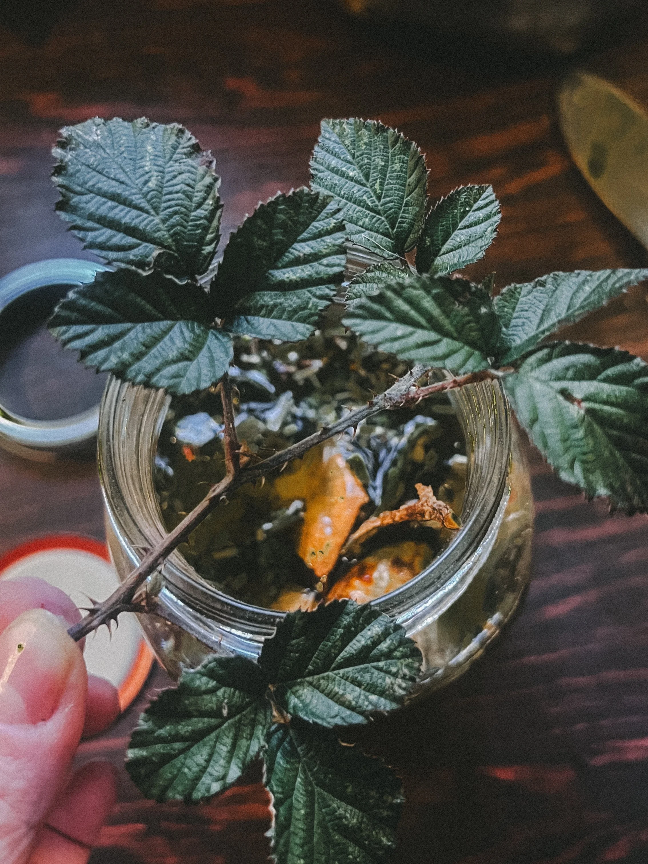 I have been highly creative during this last quarter moon 🌗. The Witch Sister tarot has been sharing her potent and soulful wisdom with me during this lunar time. I&rsquo;m so here for it. 

#witch #folkmagic #lastquartermoon #magicalcrafting #witch
