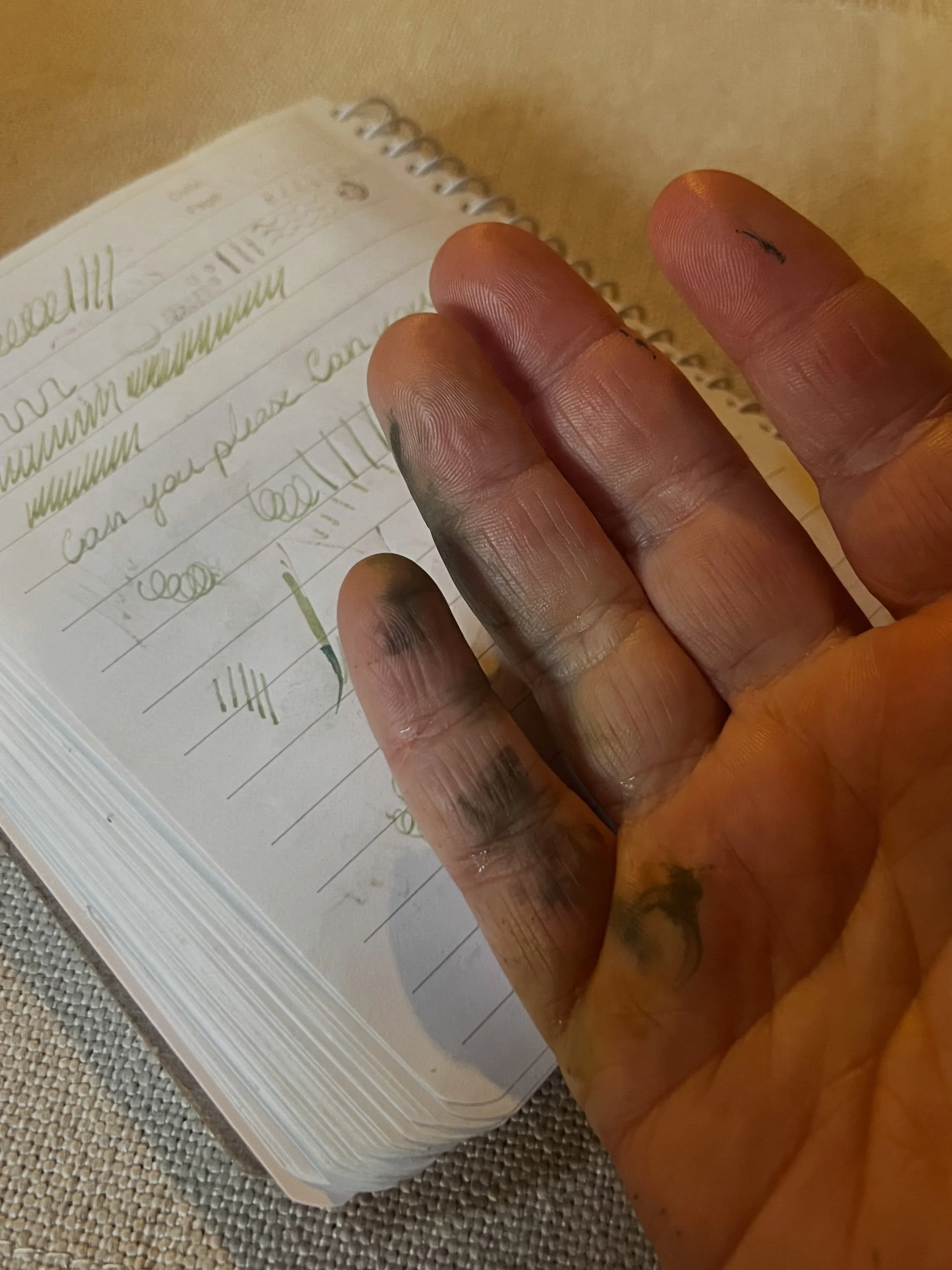Behind the scenes in a writers ✍🏼 life

Being a writer comes with a few great many beloved hobbies. As an author who is quite fond of paper and pen, despite living in this largely digital world, I happen to cultivate a healthy love of fountain pens,