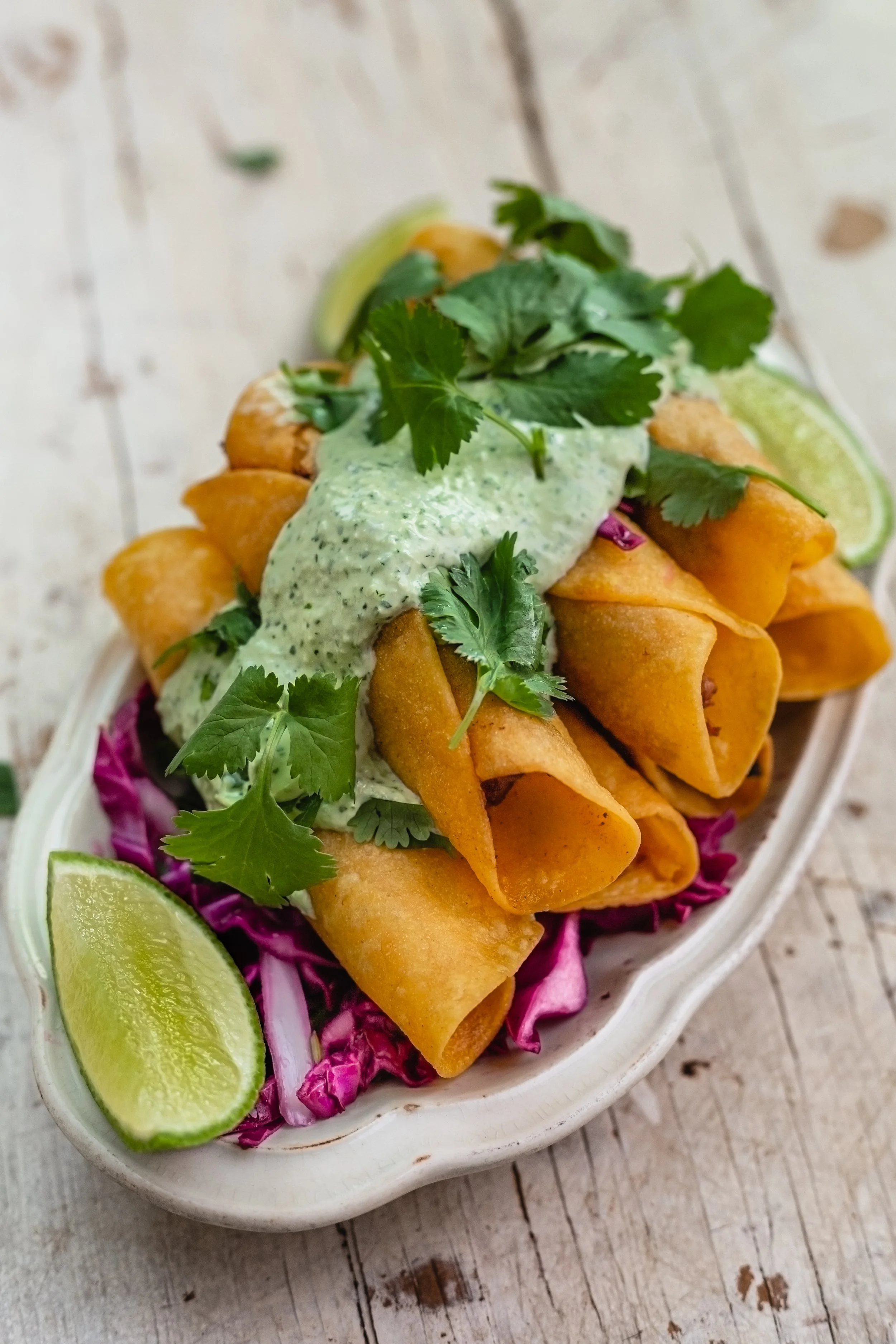 Braised Lamb Shank Taquitos 