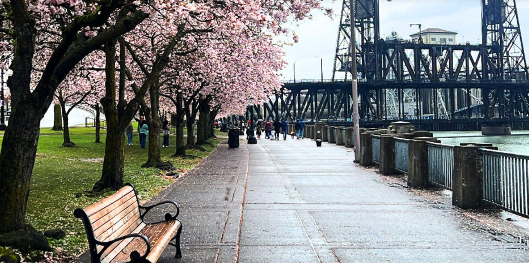 DCH SPRING 2026 NEWSLETTER