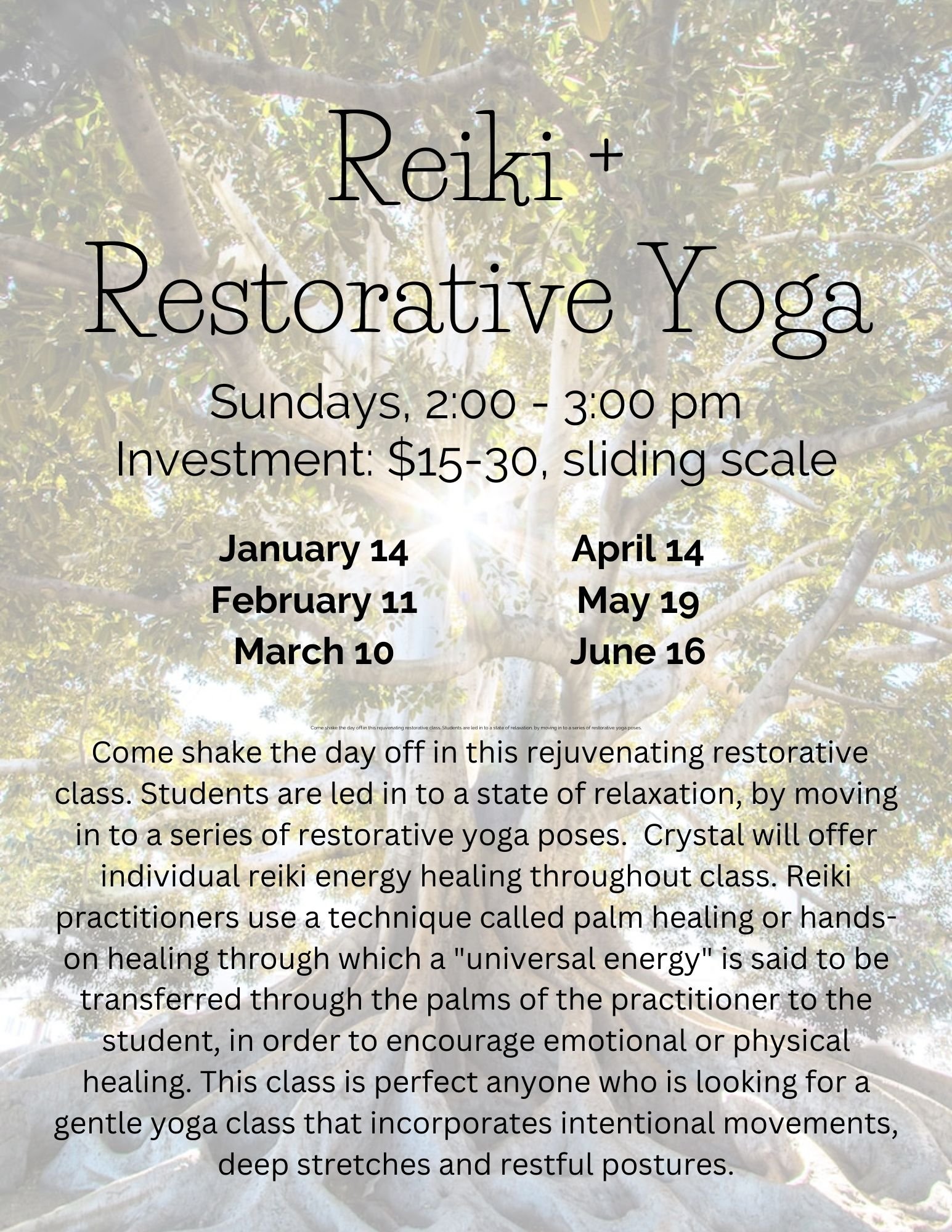 Reiki + Restorative Yoga-2.jpg