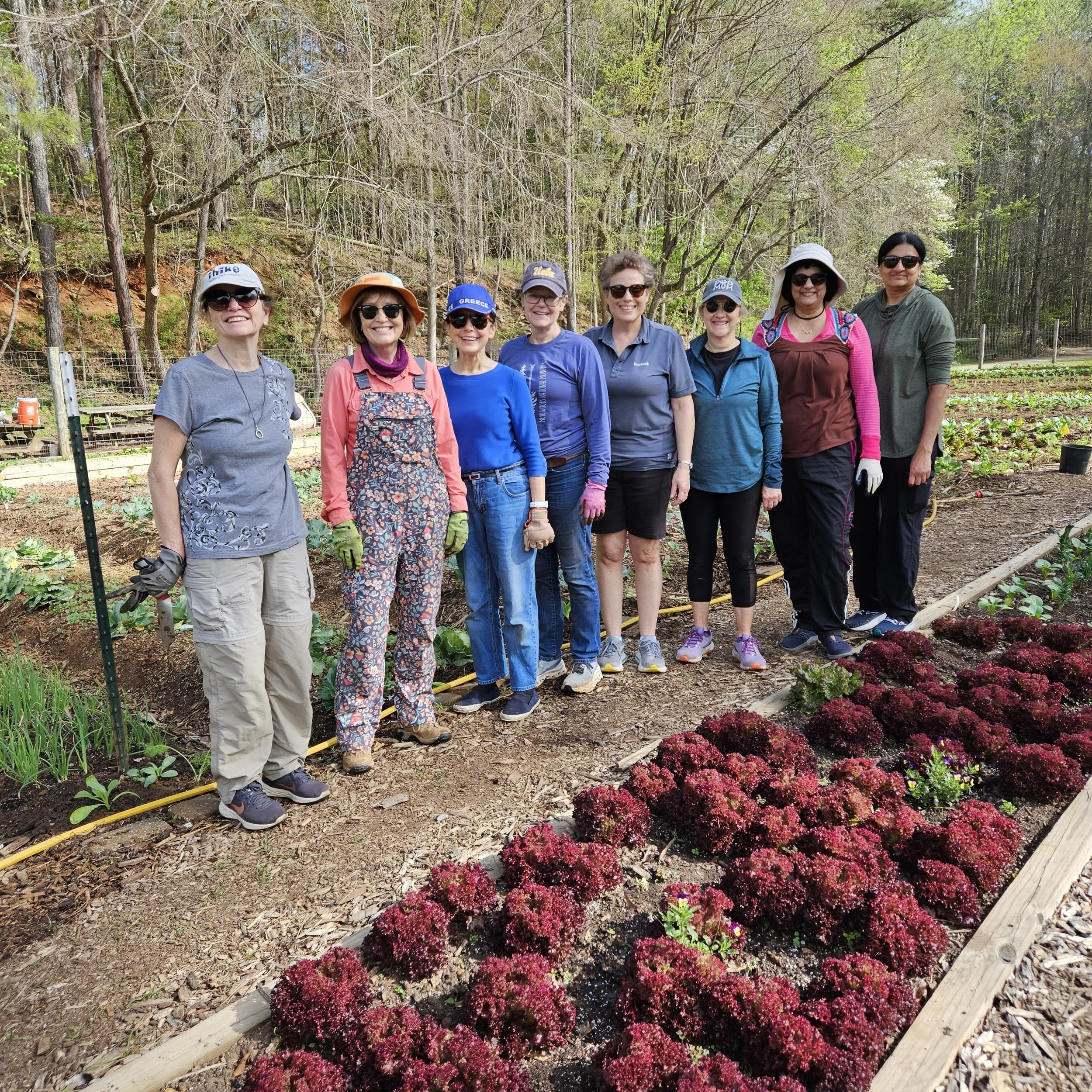 A group of eight women standing outdoors in front of a garden with rows of plants and purple flowers, surrounded by trees and a wood chip ground cover.