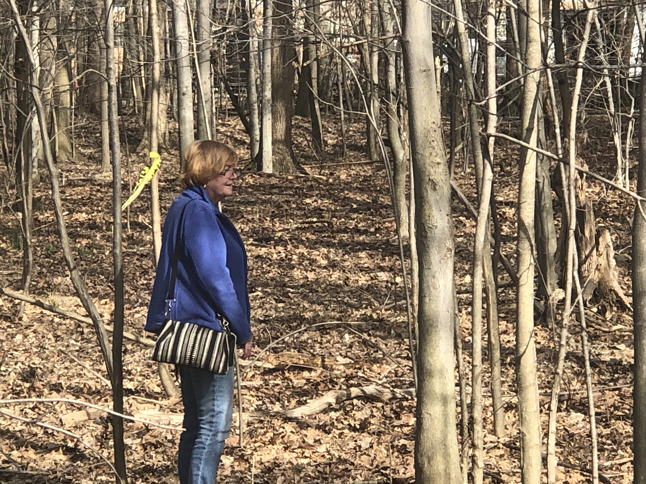 Hart Passes a Resolution to Reduce Tree Loss