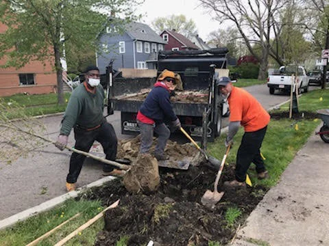 Thoughts on Environmental Sustainability in Cleveland Heights