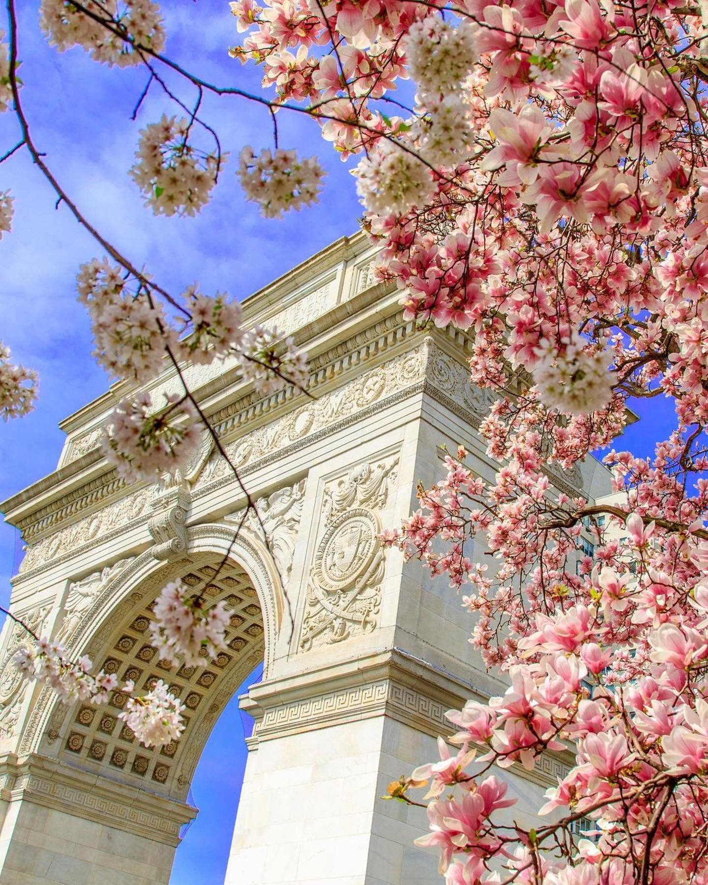 April showers bring May flowers 💐

📸 : @wspconservancy