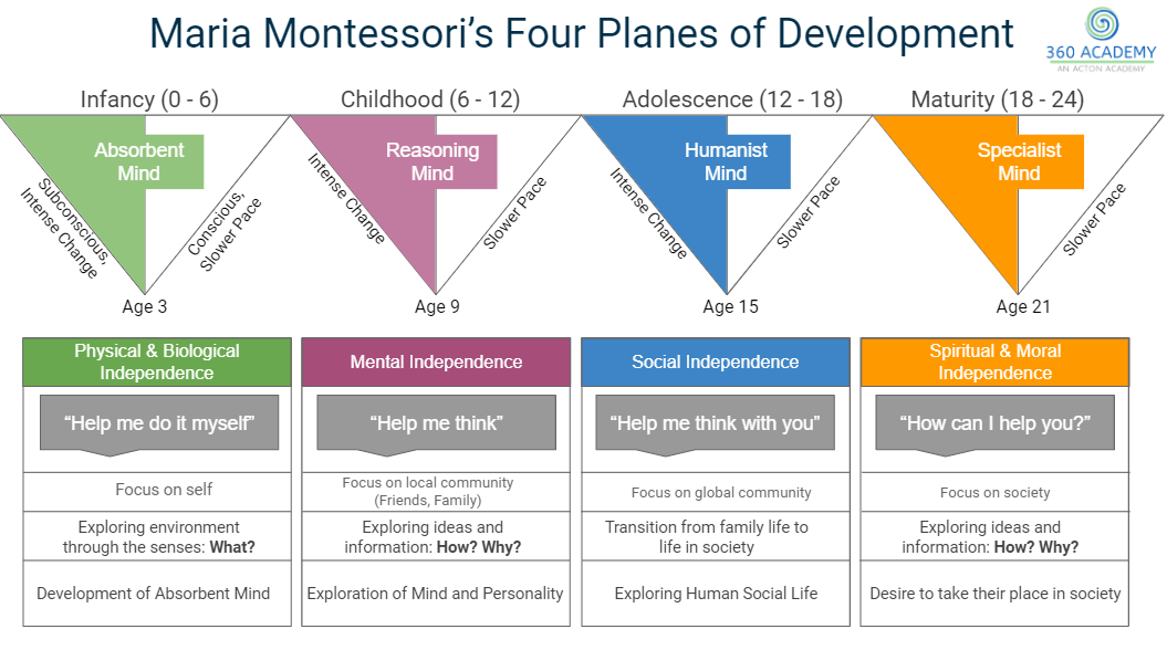 Montessori s 1st Stage of Development Infancy Acton Academy Columbus Montessori and Waldorf Inspired Private School Dublin OH