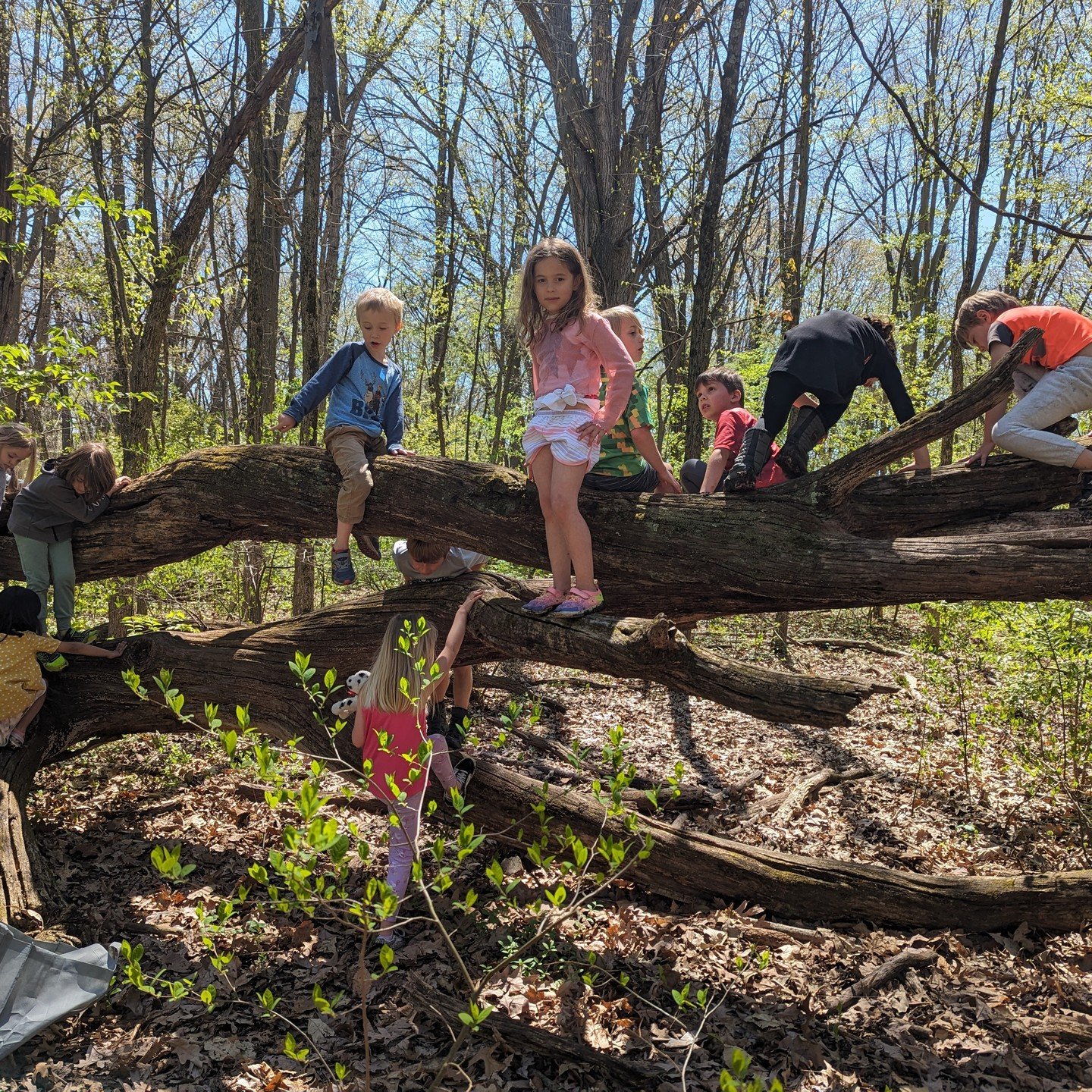 Today, we celebrated Earth Day at Acton Academy Columbus! 🌿🌻
Each of our studios - Spark, Elementary, Middle School - came together to make a difference in our community. We spent a part of our day cleaning up the area around our school and the nea