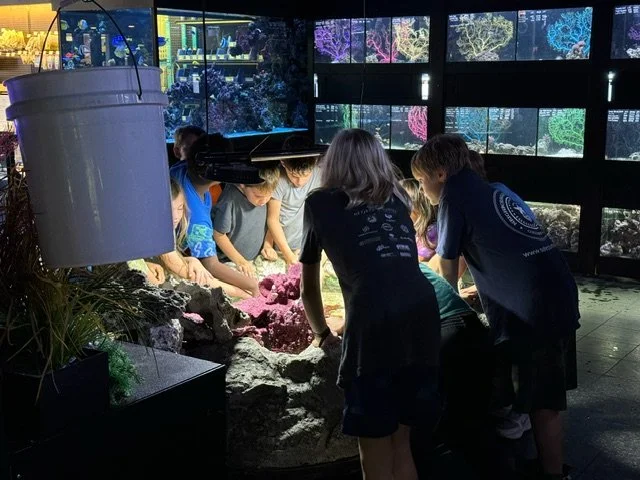 Marine Science Quest: Learning to Do, Be, and Learn