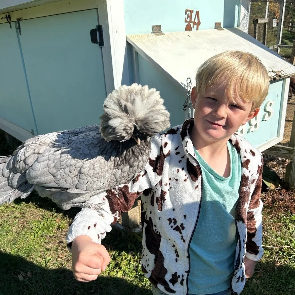 What a day! Our Spark Eagles visited @duzanridingacademy 🐴 and had a fantastic adventure with the animals!
From the moment they arrived, the learners were buzzing with excitement &mdash; greeting the gentle ponies, brushing their coats, and learning
